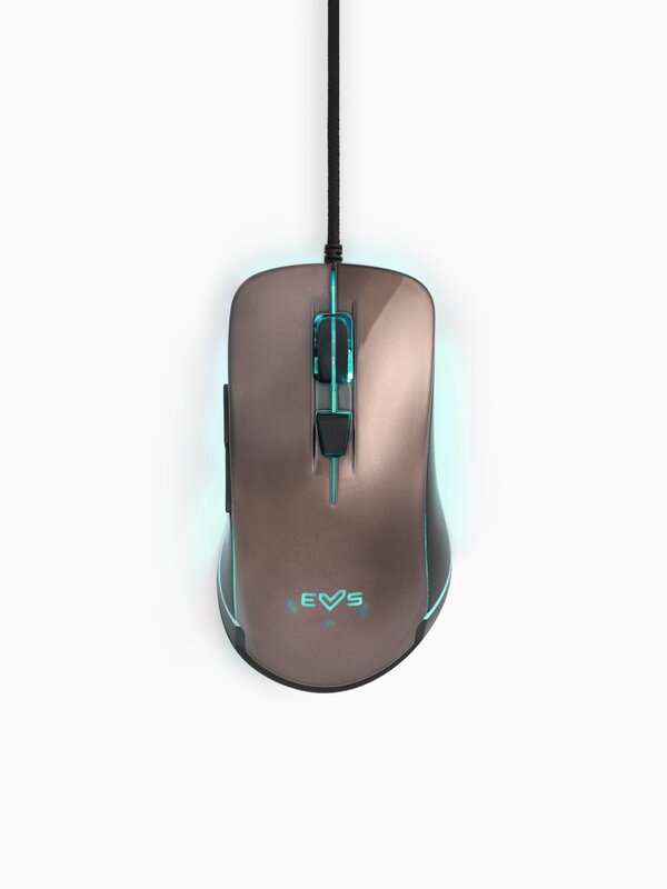 Gamer mouse with LED lights