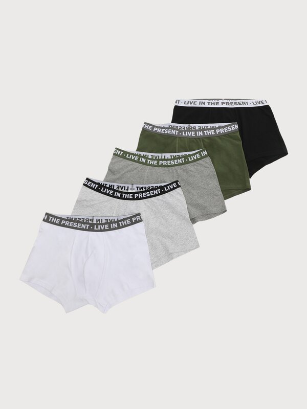Pack of 5 boxer briefs