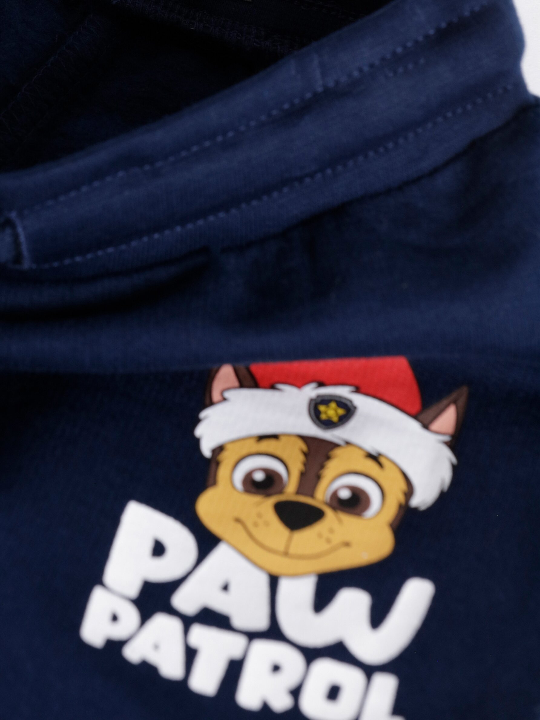 Paw Patrol ©Nickelodeon print 