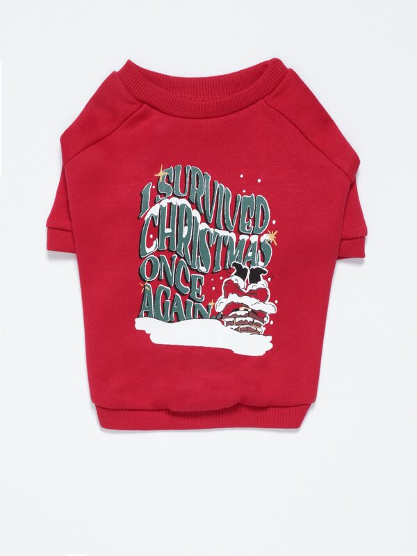 Pet | Santa Claus family sweatshirt