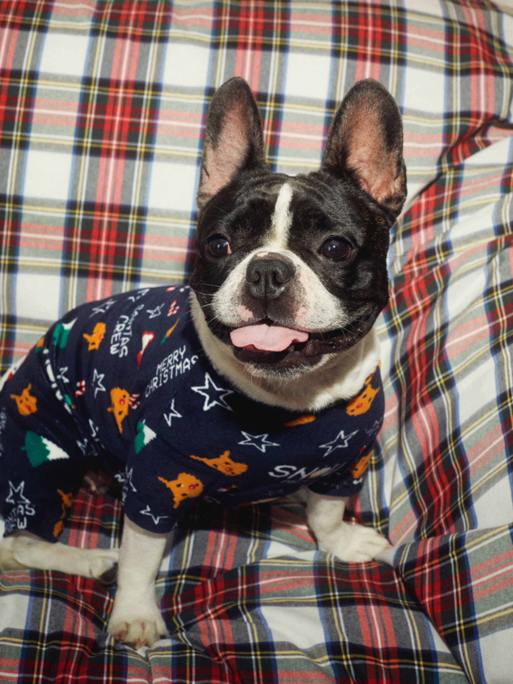 French bulldog cheap christmas pajamas