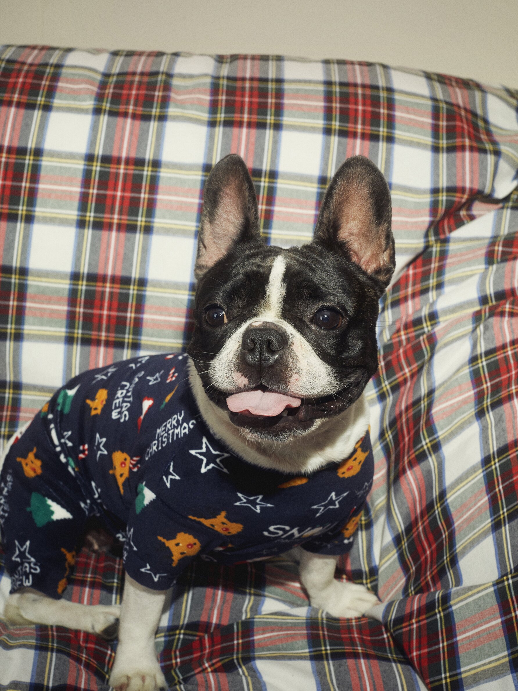 French bulldog christmas pajamas sales
