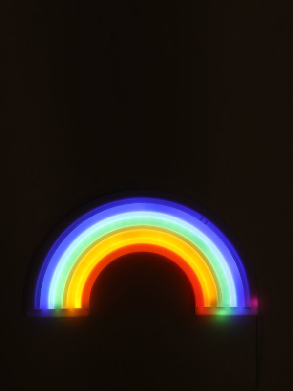 Neon LED rainbow light