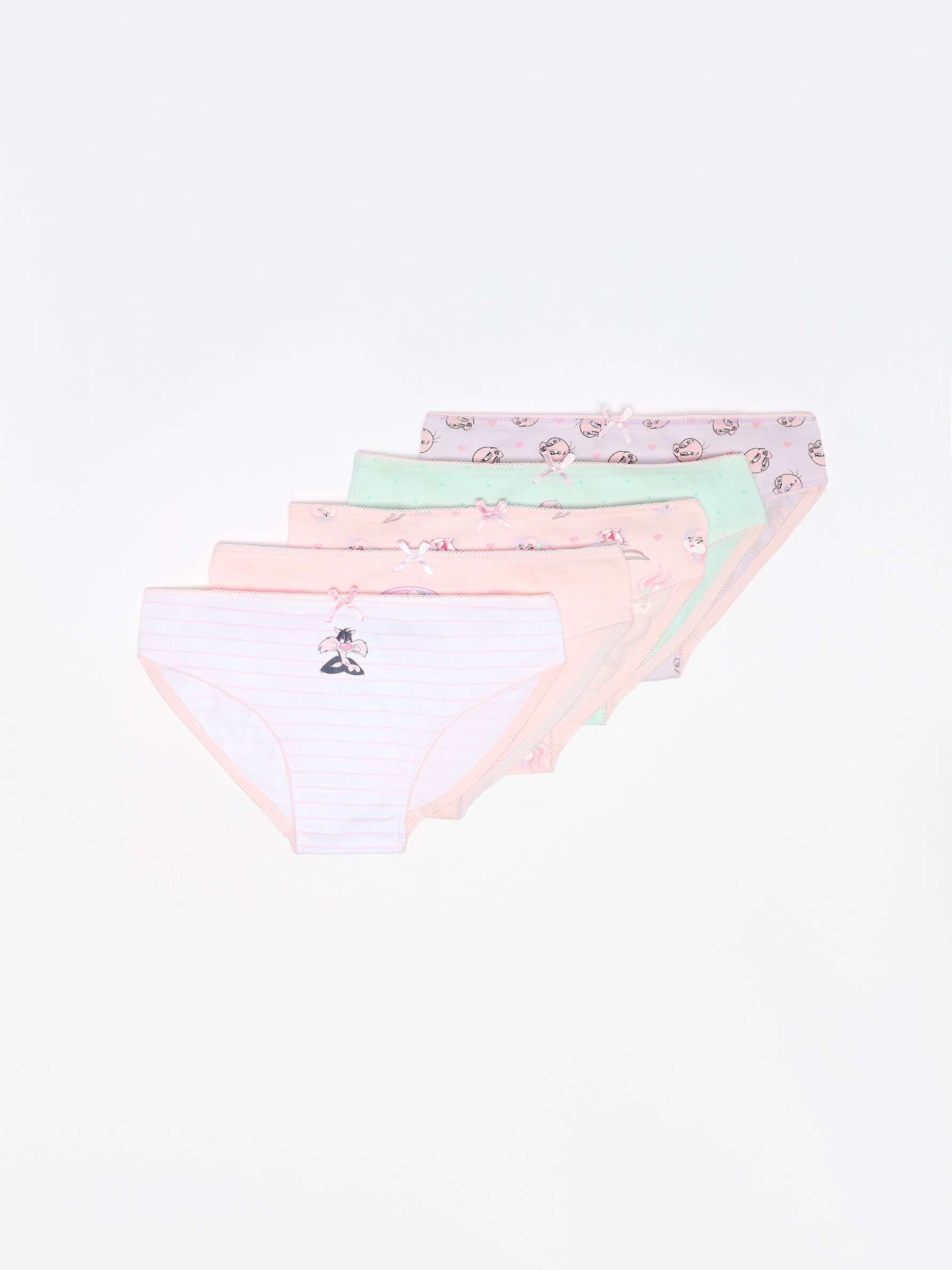 Pack of 5 Looney Tunes © &™ WARNER BROS printed briefs - Underwear