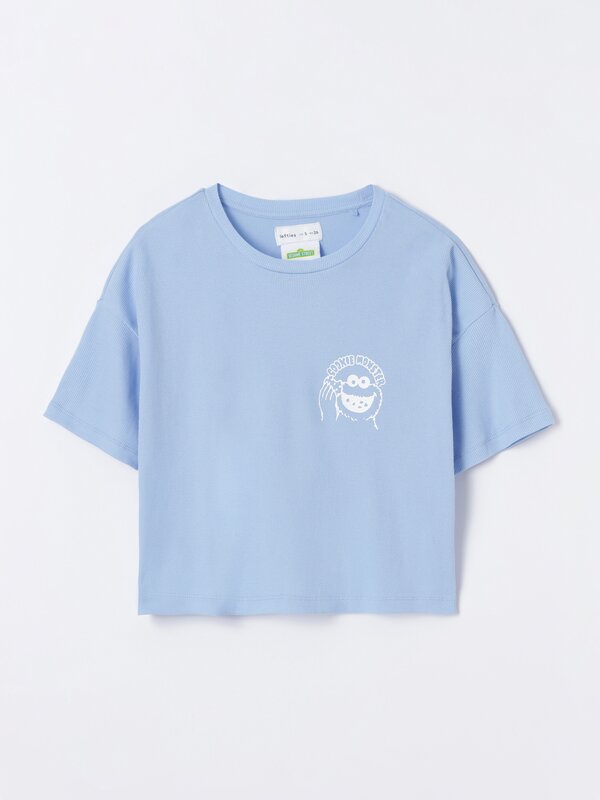 Sesame Street © Sesame Street print short pyjama set