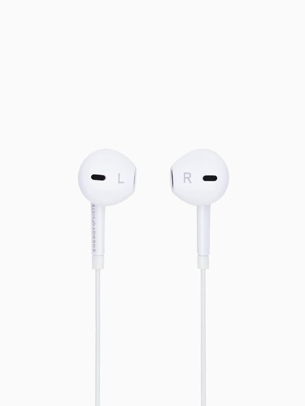 Earphones with microphone and sound reproduction controller