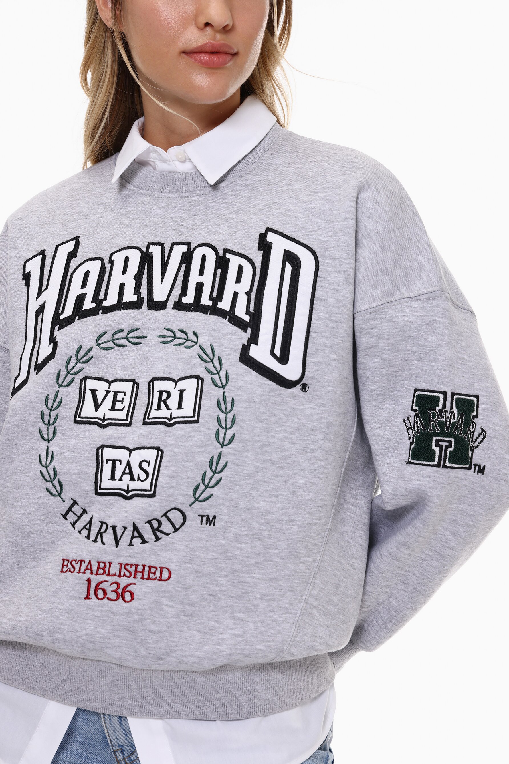 Sudadera harvard fashion