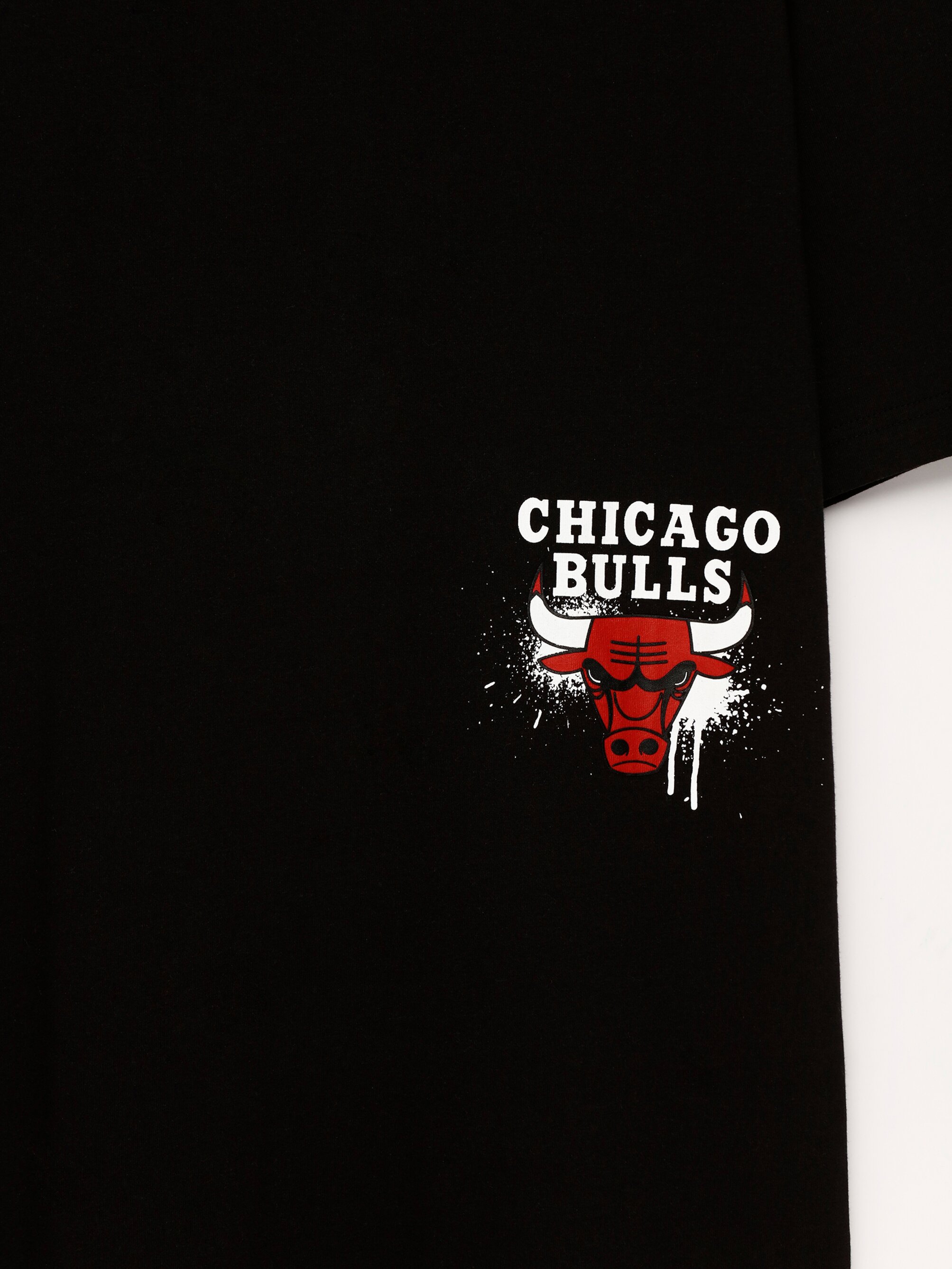 Nba chicago best sale bulls shirt