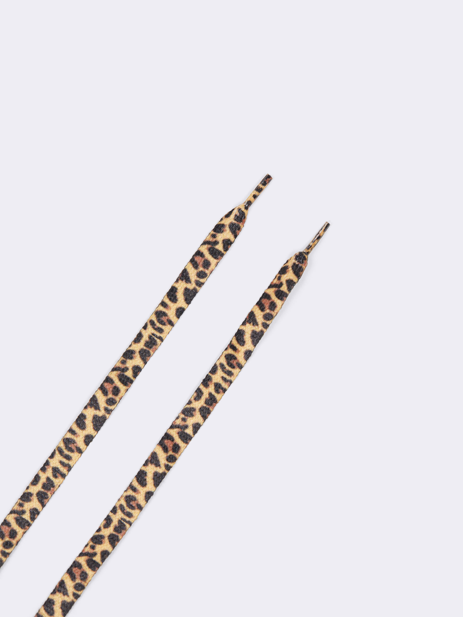 Cordones leopardo hotsell