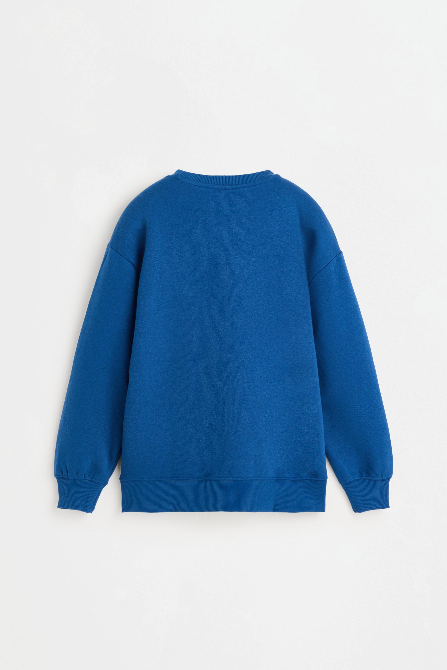 Printed sweatshirt — DARK BLUE