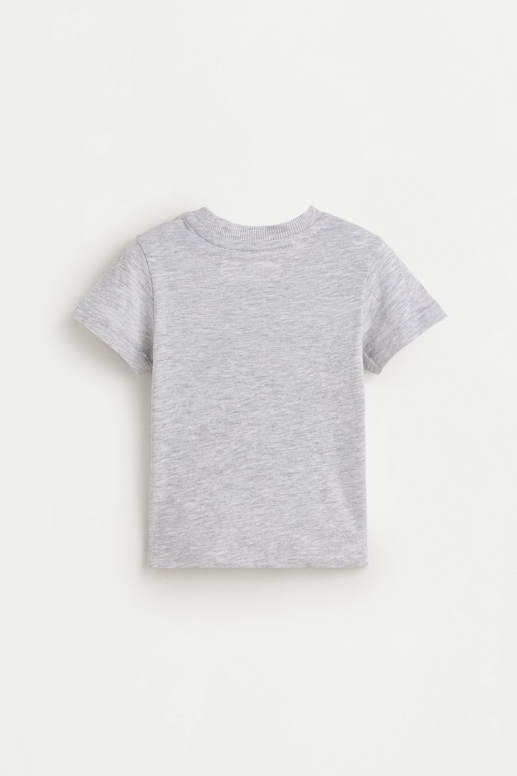 Pack of 2 assorted T-shirts — MEDIUM BLUE