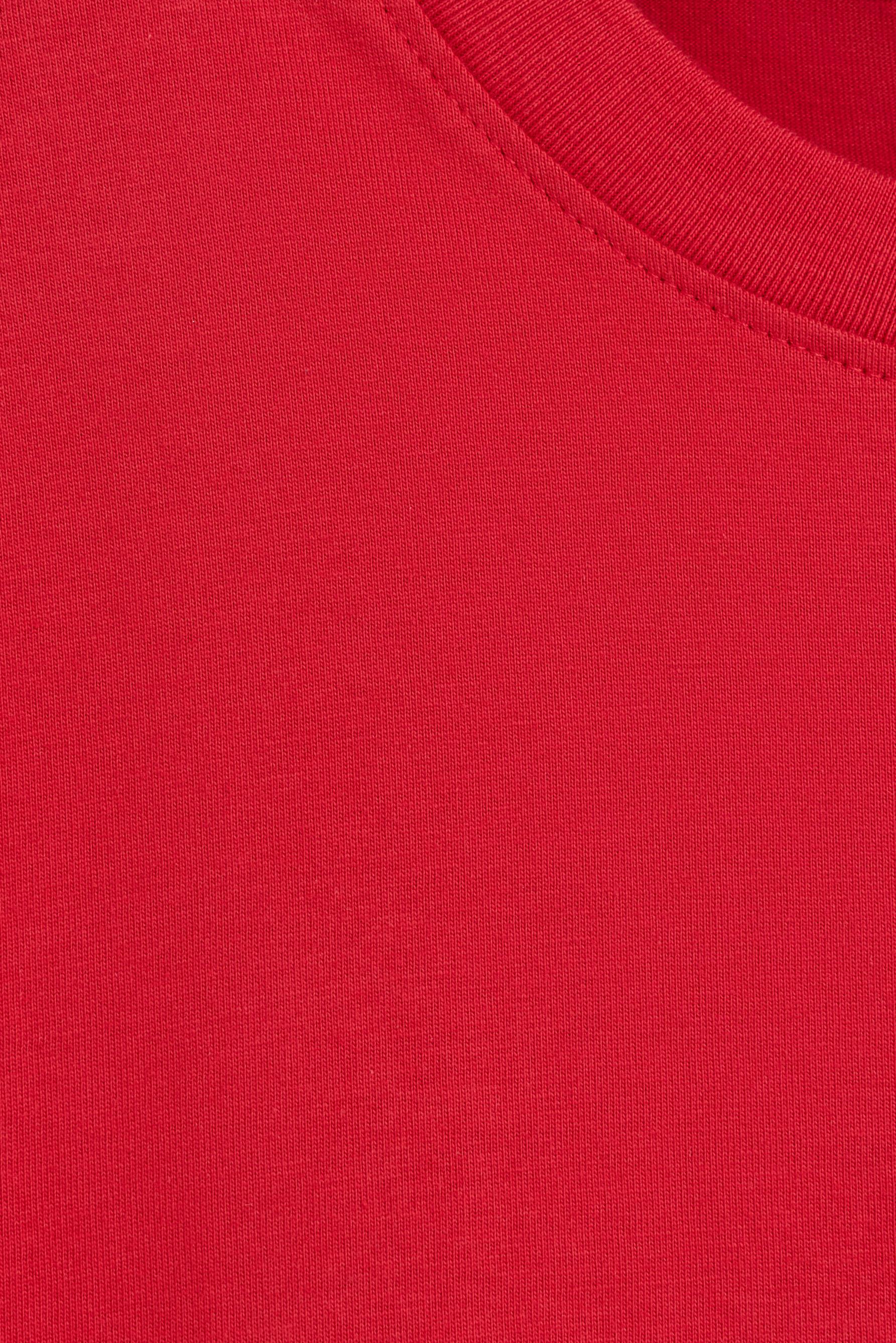 Premium relaxed fit T-shirt — REDDISH