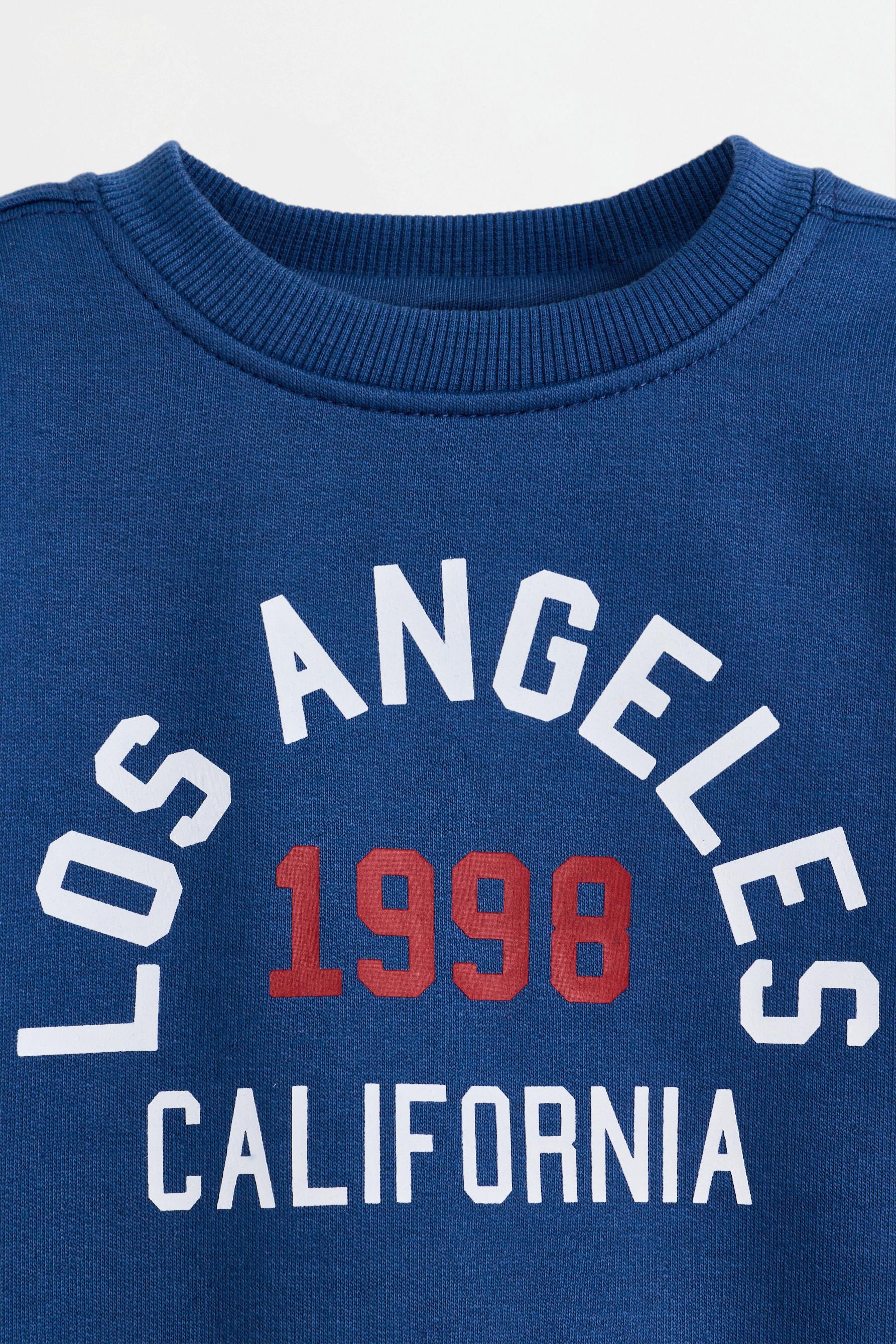 Pack of 2 assorted sweatshirts — BLUE