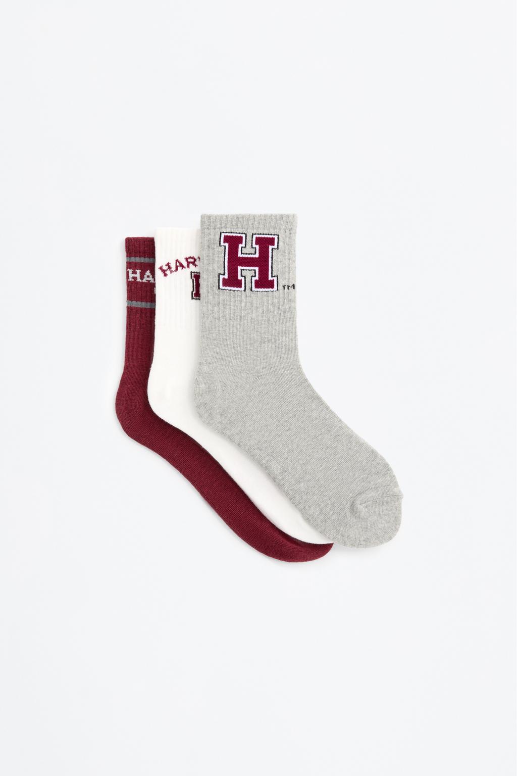 Pack 3 calcetines Harvard University