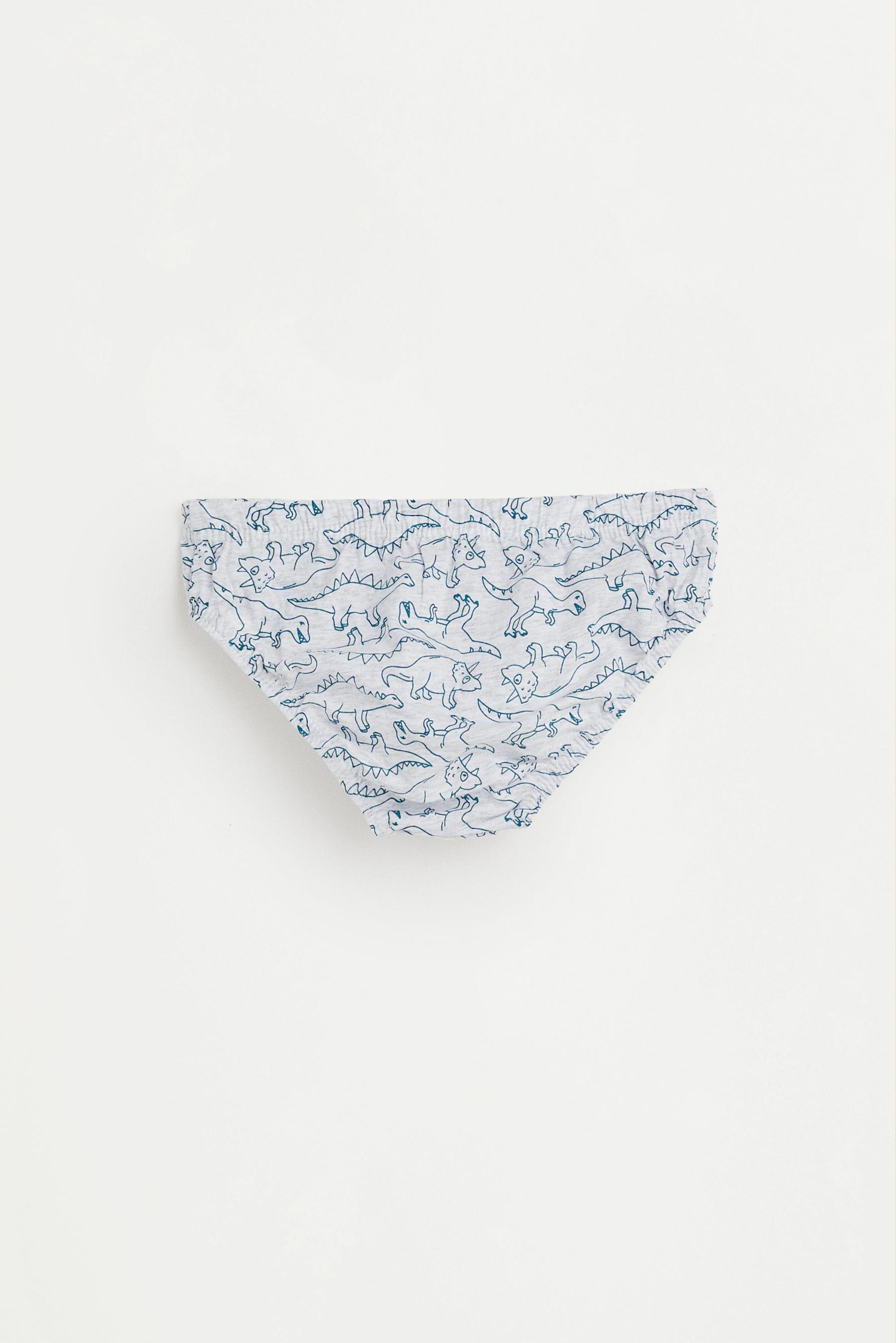 Dinosaur Print Briefs (7-Pack) — BLUE TONES