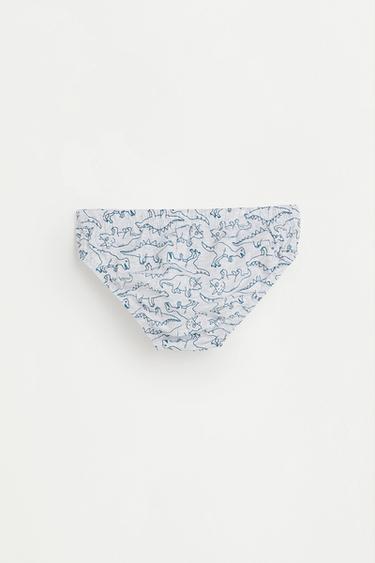 Dinosaur Print Briefs (7-Pack) — BLUE TONES 3