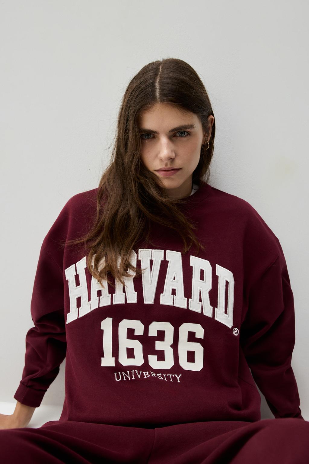 Sudadera Harvard University estampado - bordados