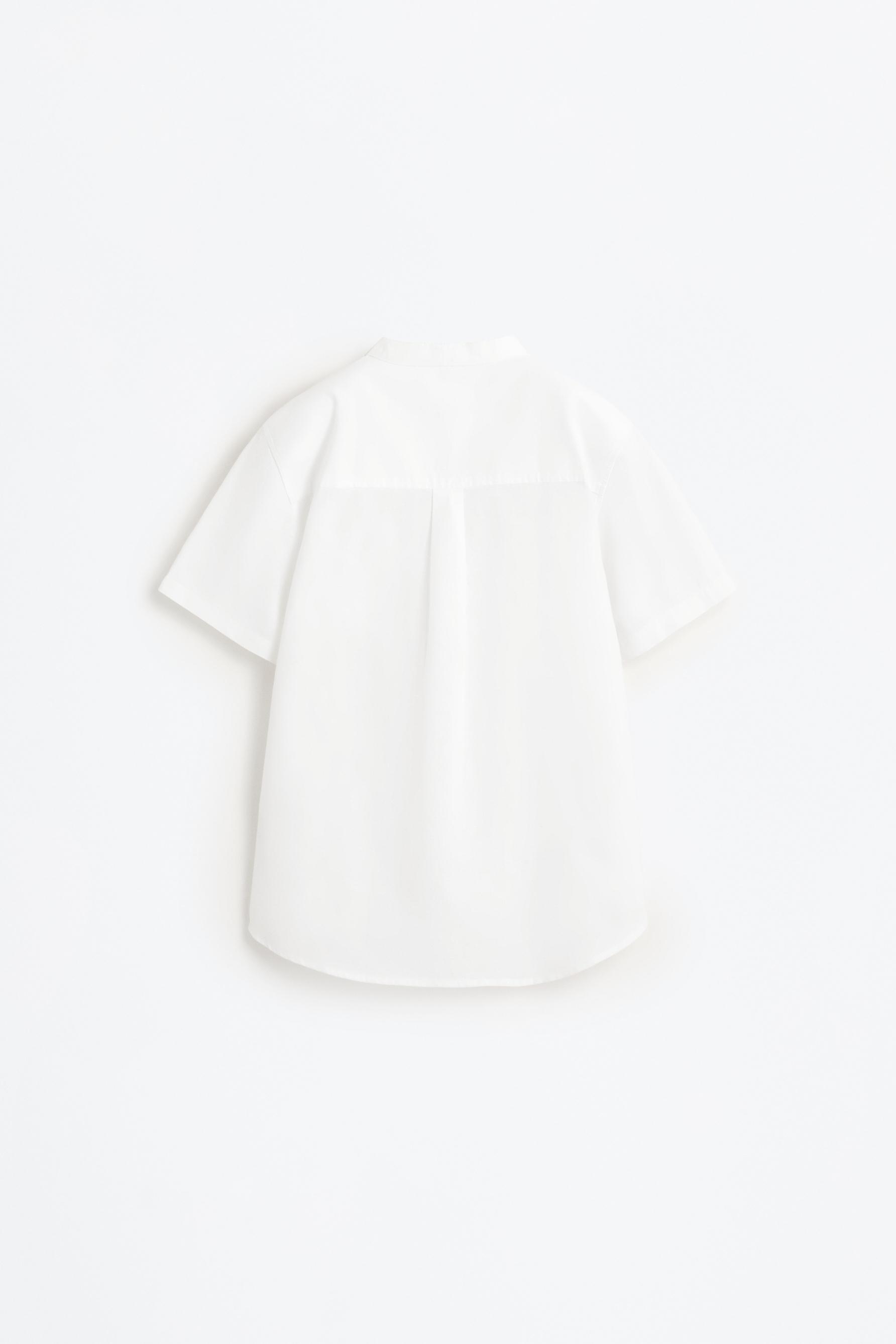 Linen-cotton stand collar shirt — WHITE