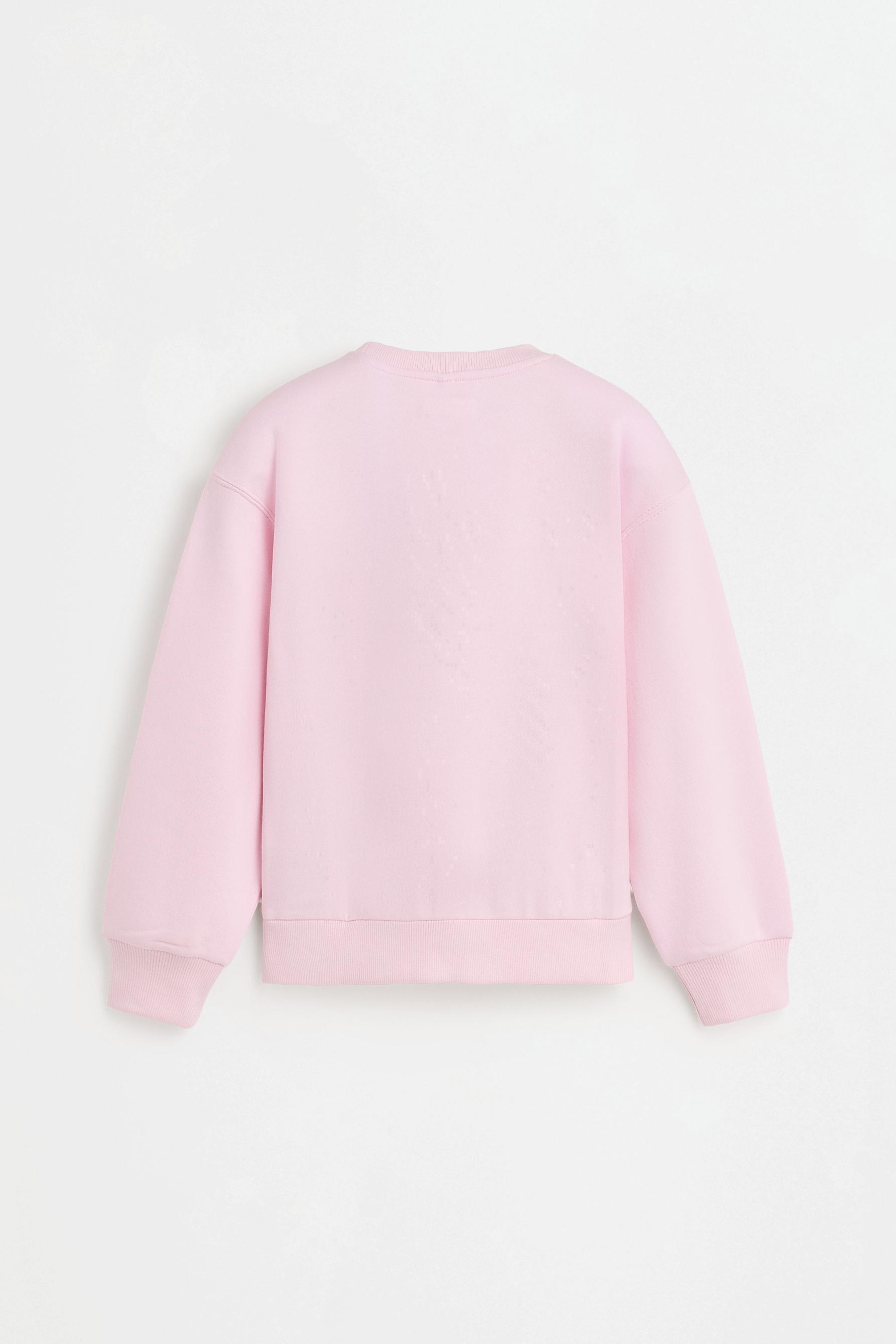 Pack of 2 plush sweatshirts — PASTEL PINK