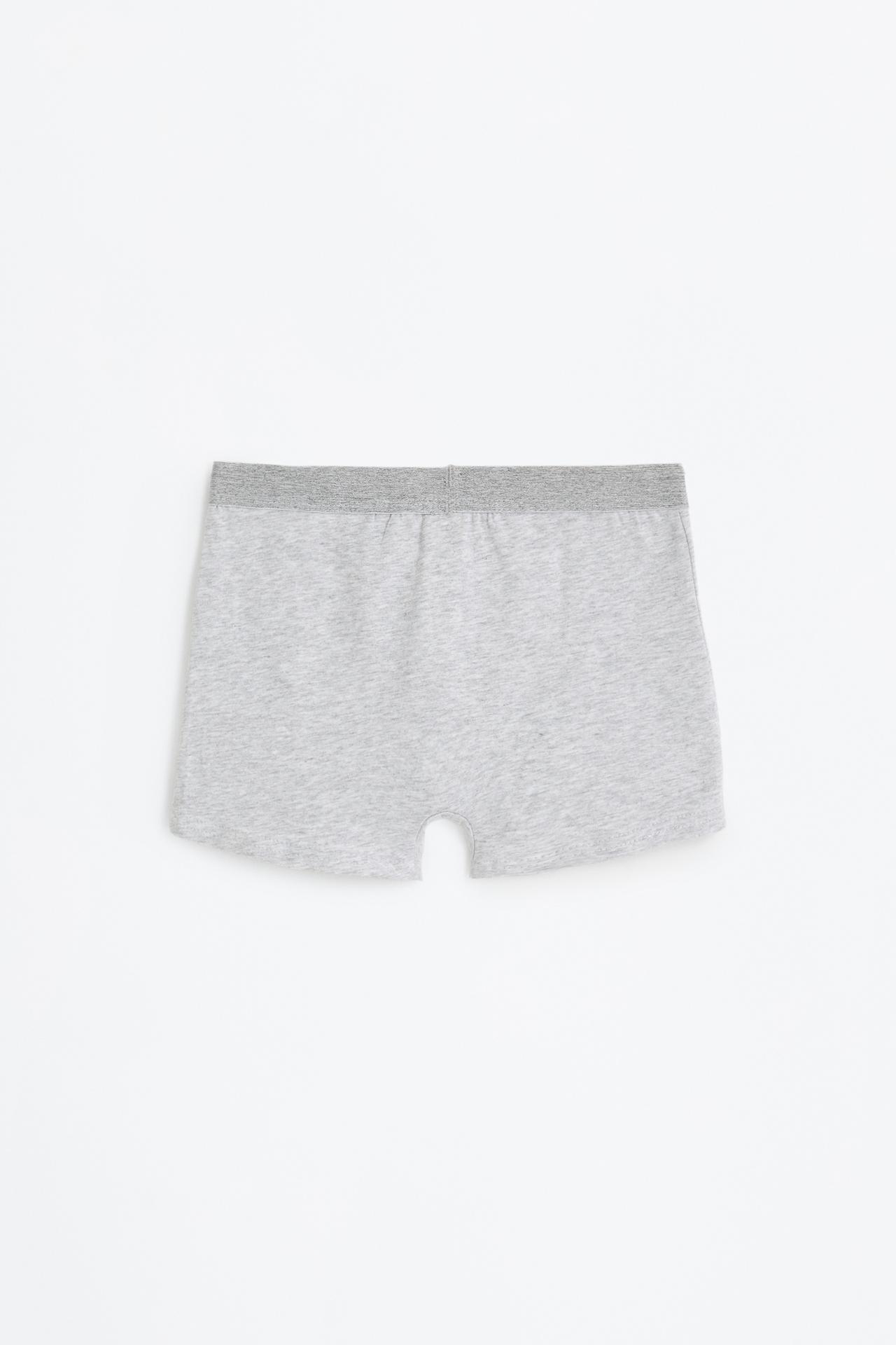 Pack of 5 basic boxer shorts — WHITE/GREY