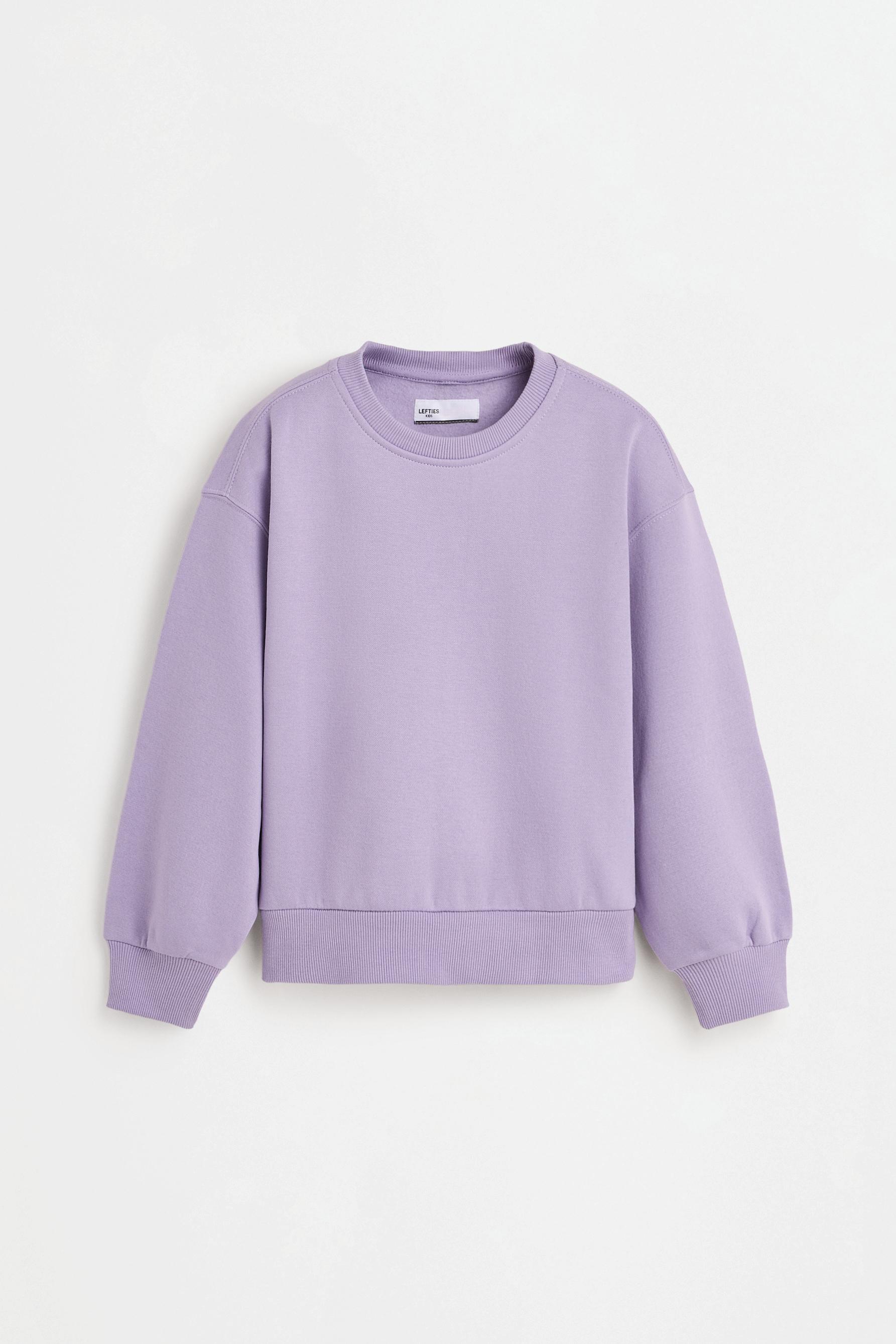 Pack of 2 plush sweatshirts — PALE GREY