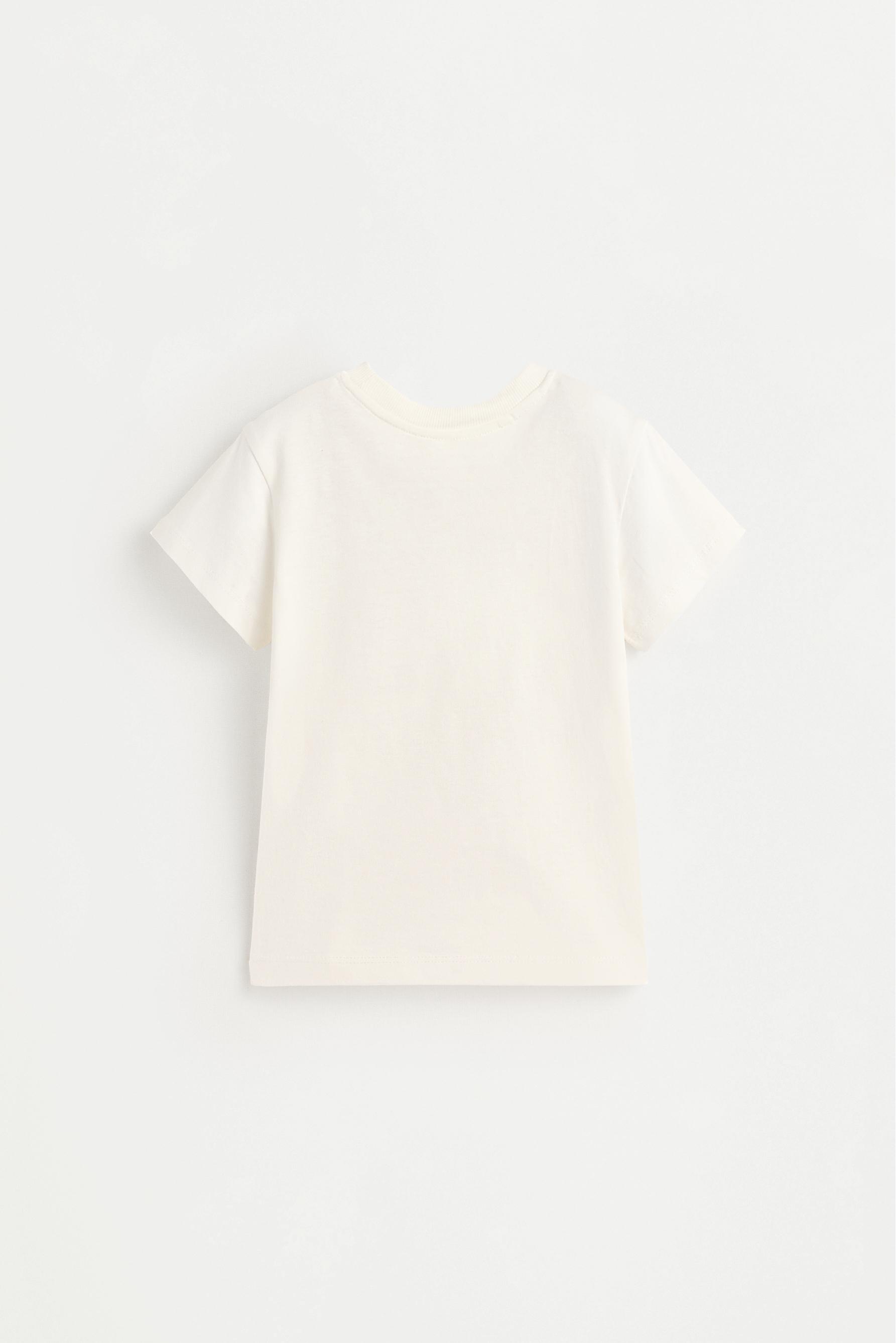 Pack of 2 assorted T-shirts — SAGE GREEN