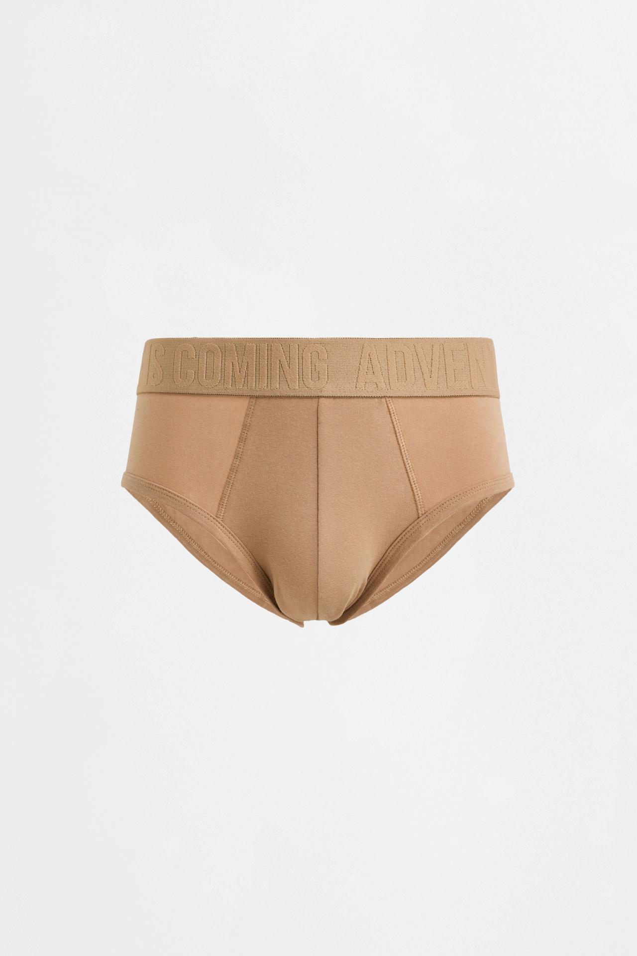Pack of 5 briefs with slogan — EARTH BROWN