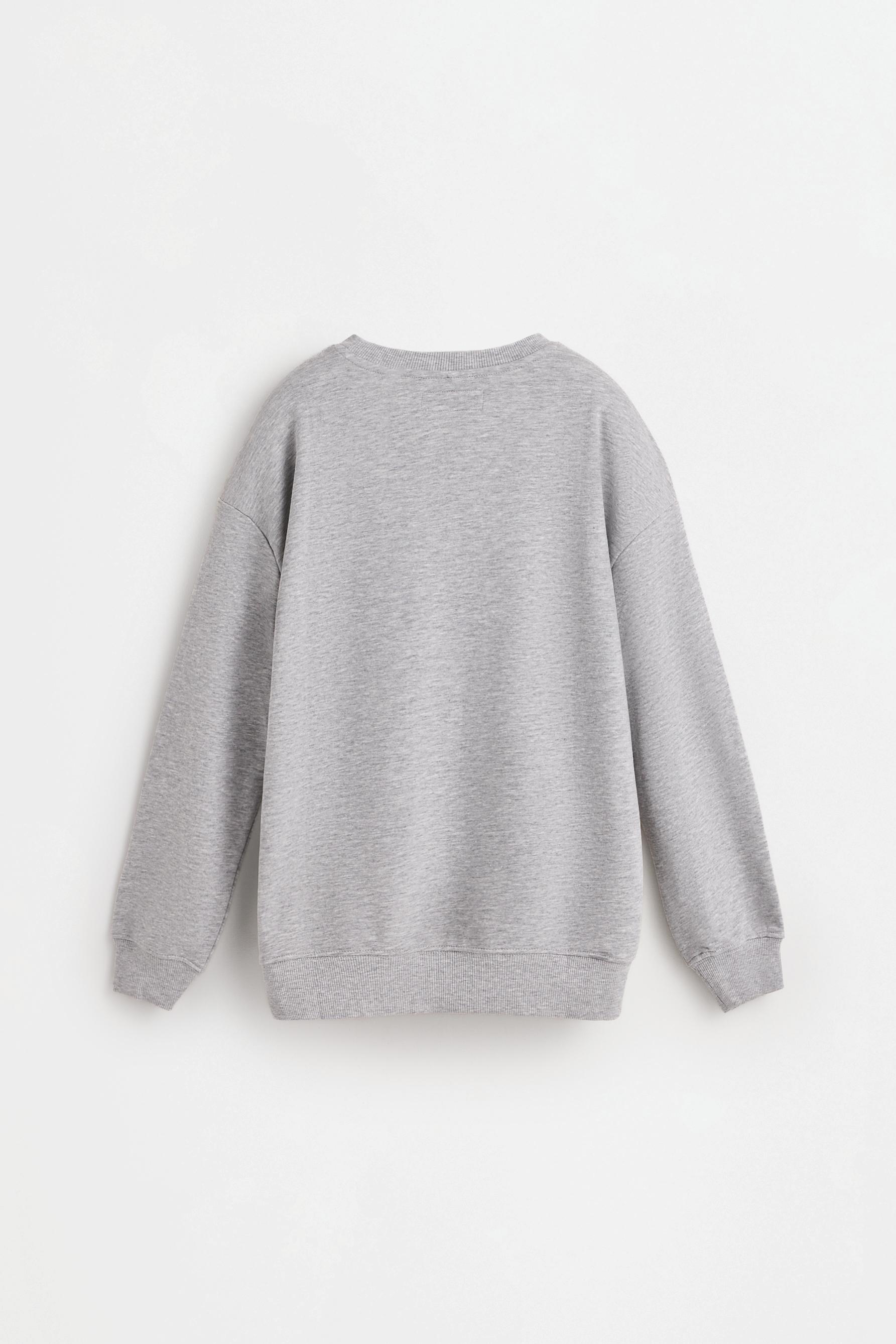 Printed sweatshirt — GREY MARL