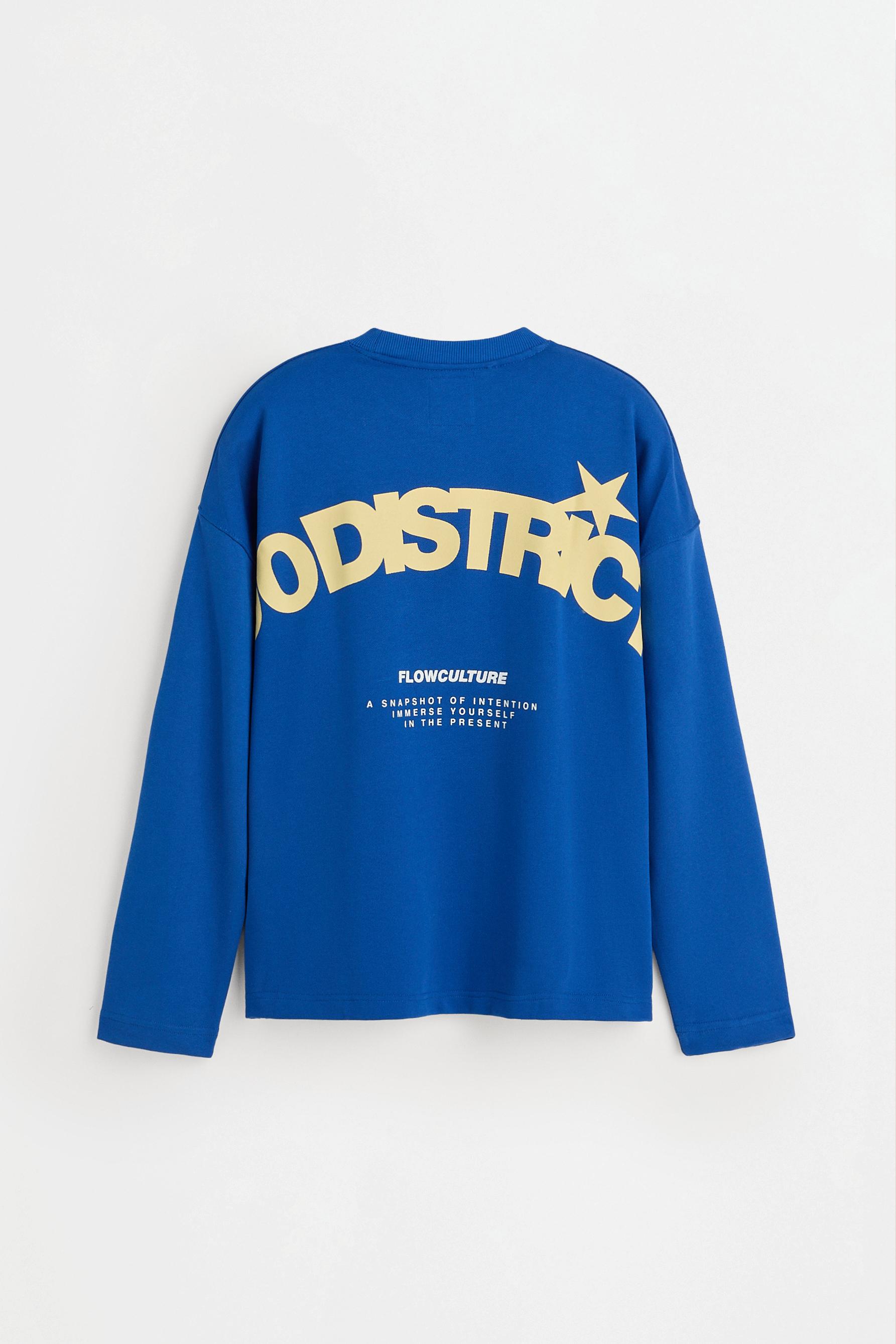 Printed sweatshirt — COBALT GREY