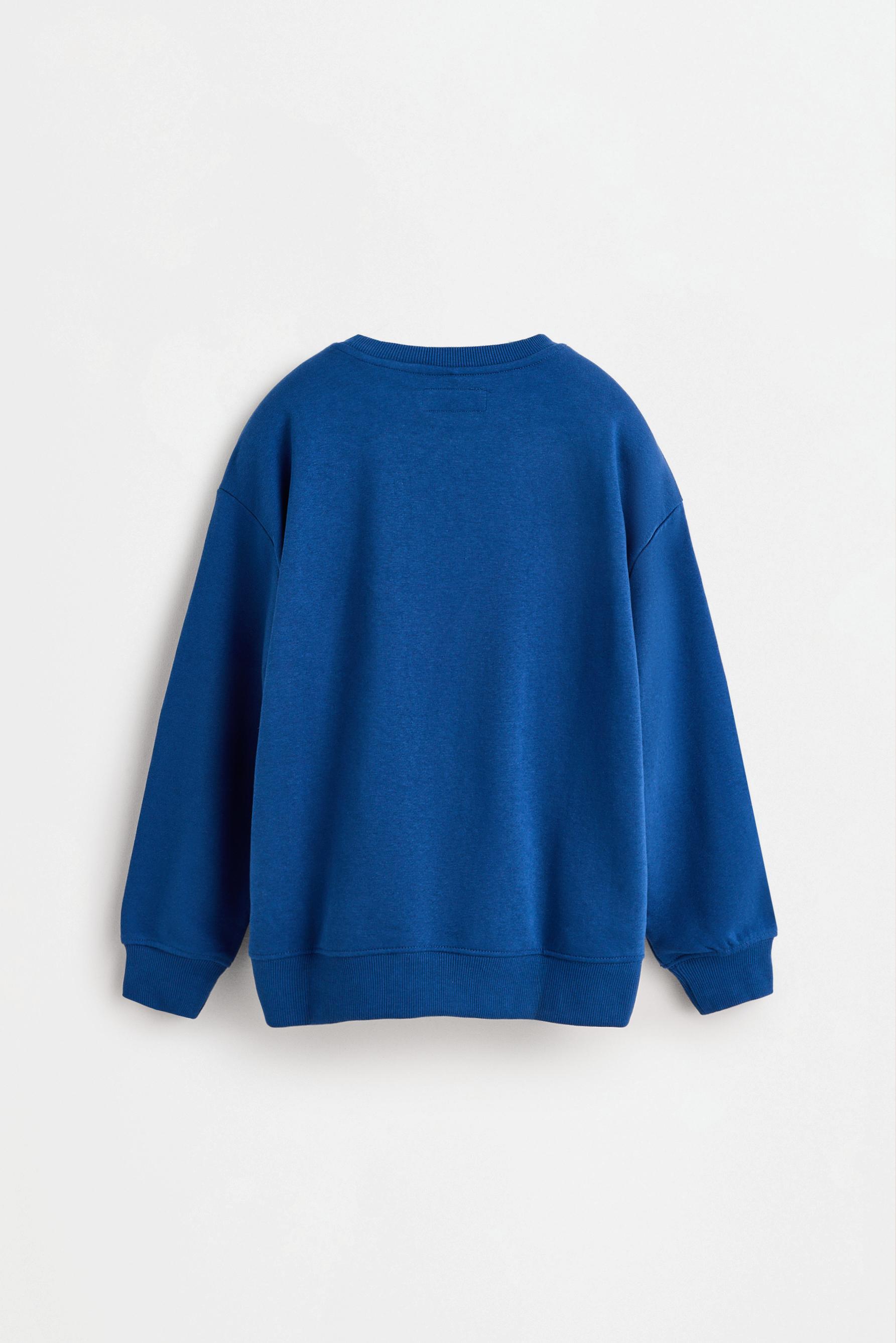 Printed sweatshirt — DARK BLUE