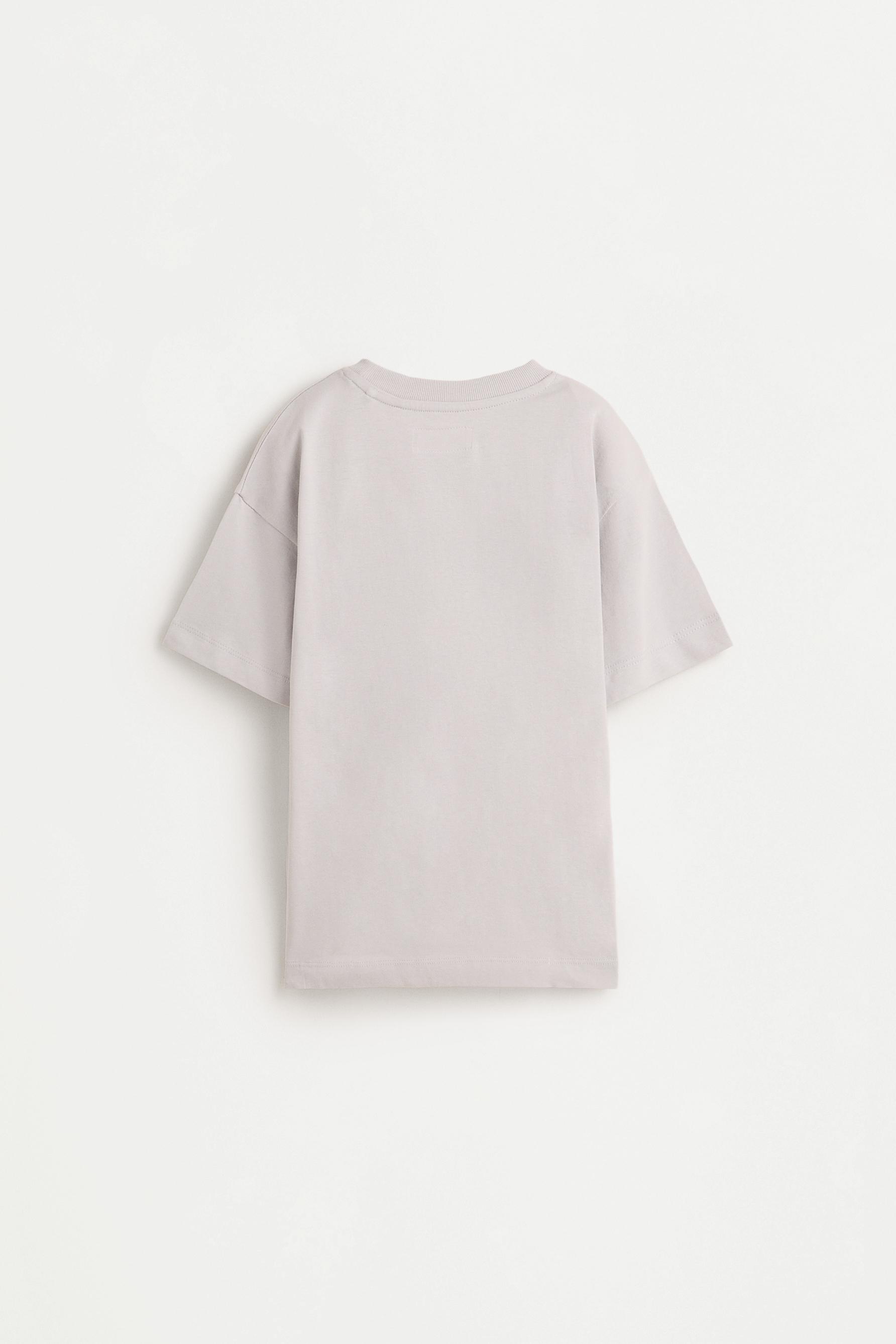 Printed T-shirt — PALE GREY