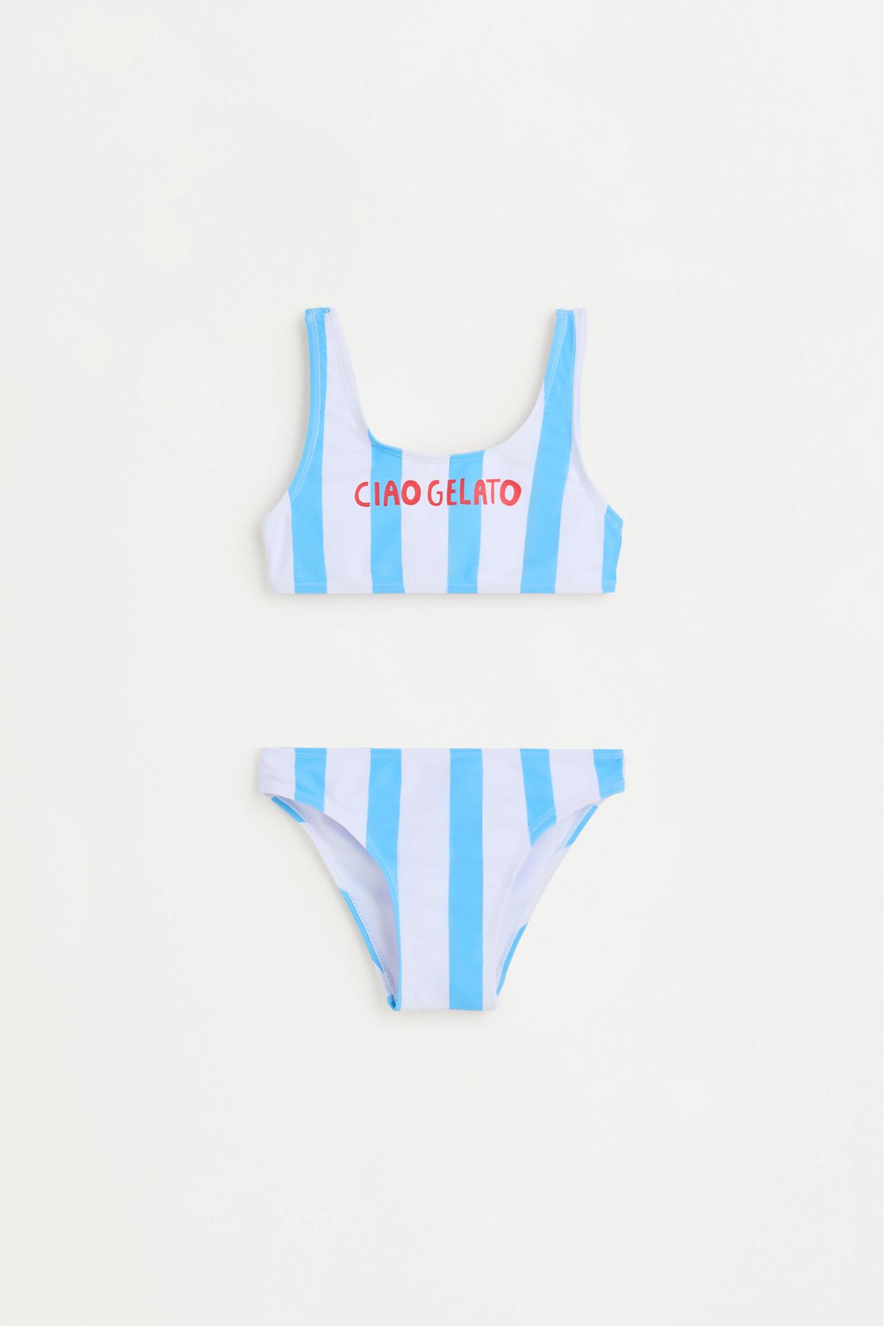 Striped print bikini — BLUE