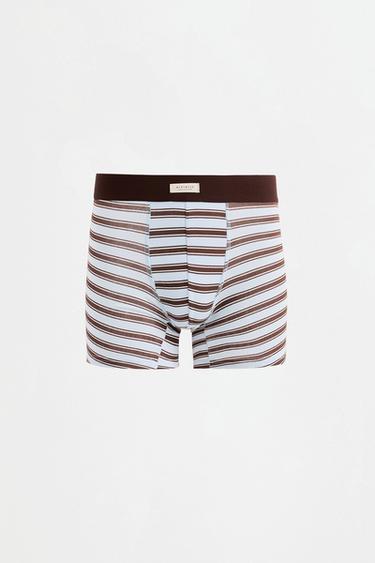 Pack of 5 striped long boxers — BROWN/BLUE 7