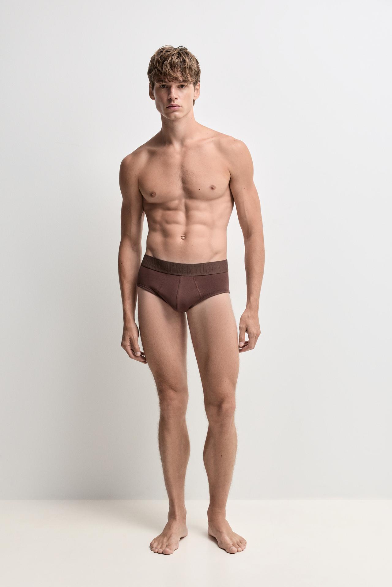 Pack of 5 briefs with slogan — EARTH BROWN