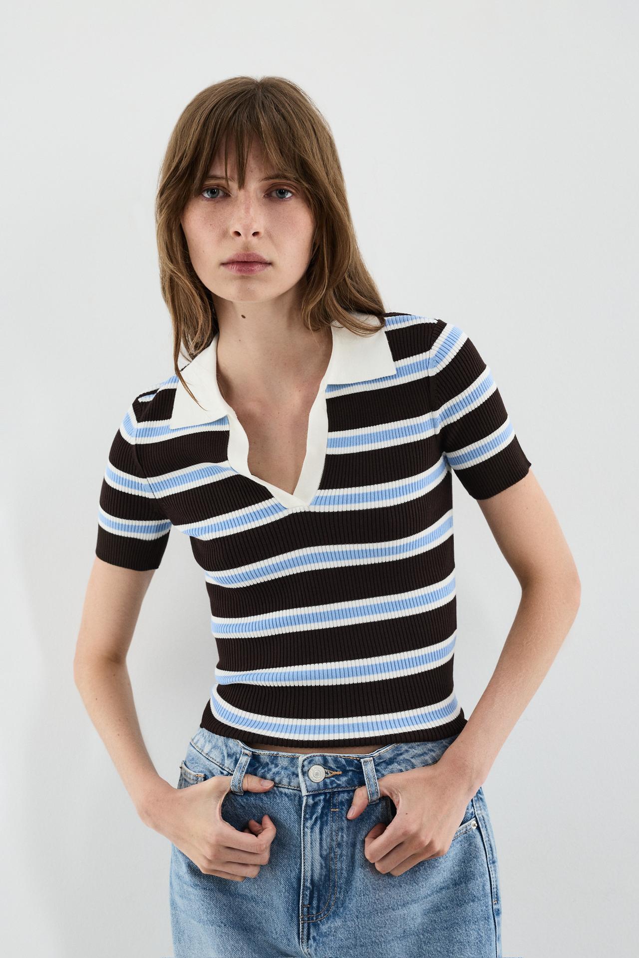 Basic rib knit polo shirt — BROWN/BLUE