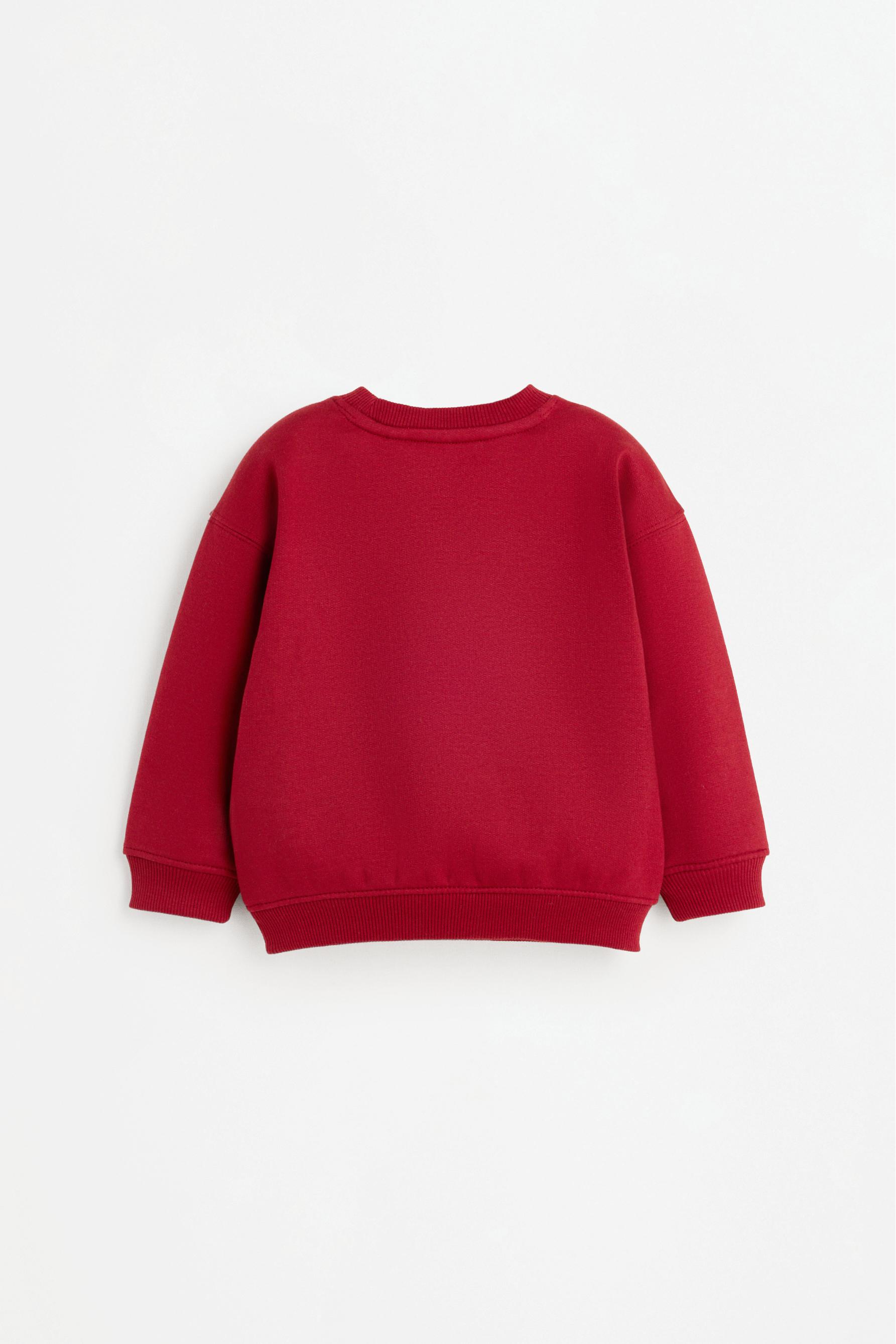Pack of 2 assorted sweatshirts — BLUE