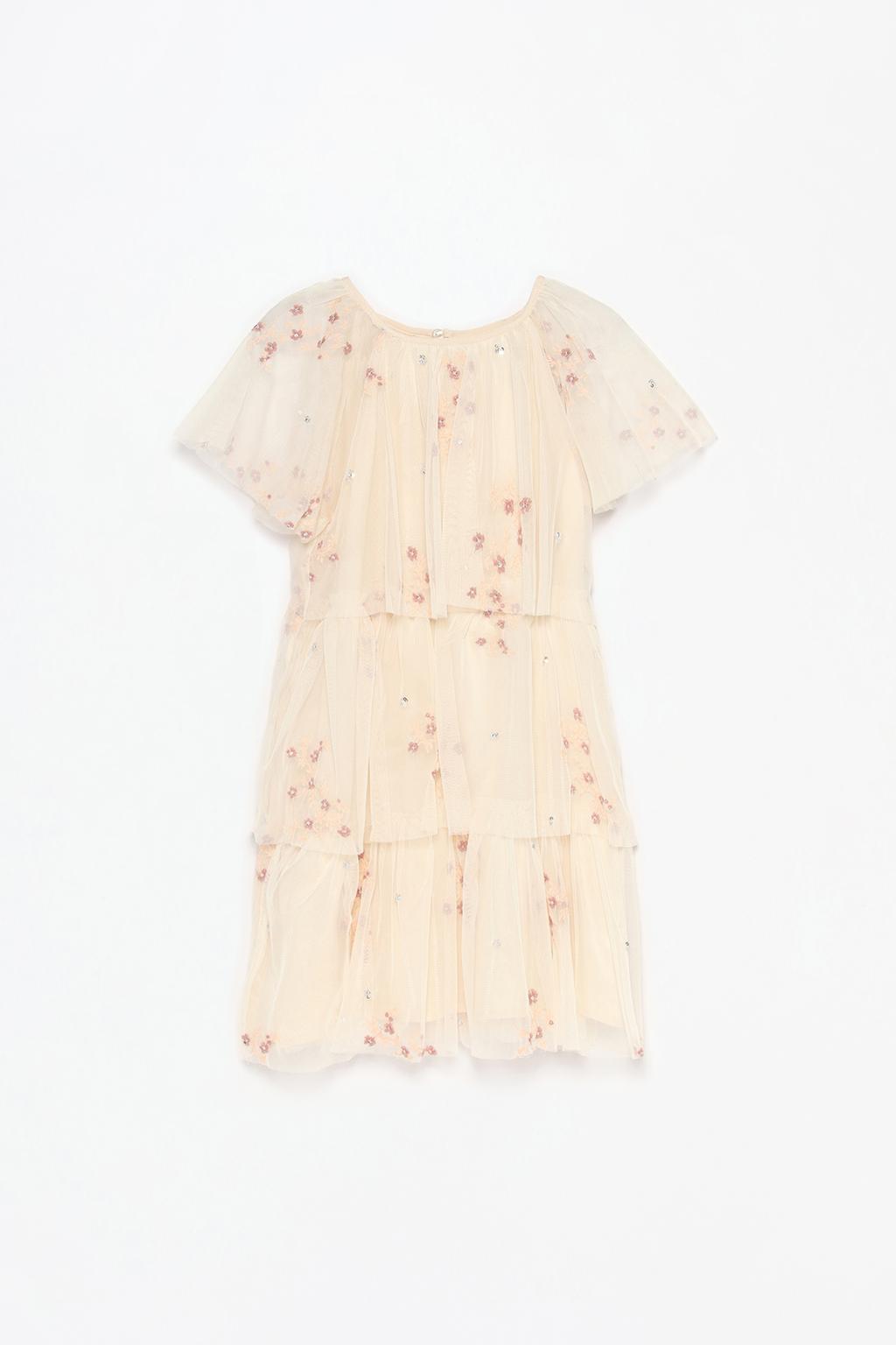 Embroidered tulle dress