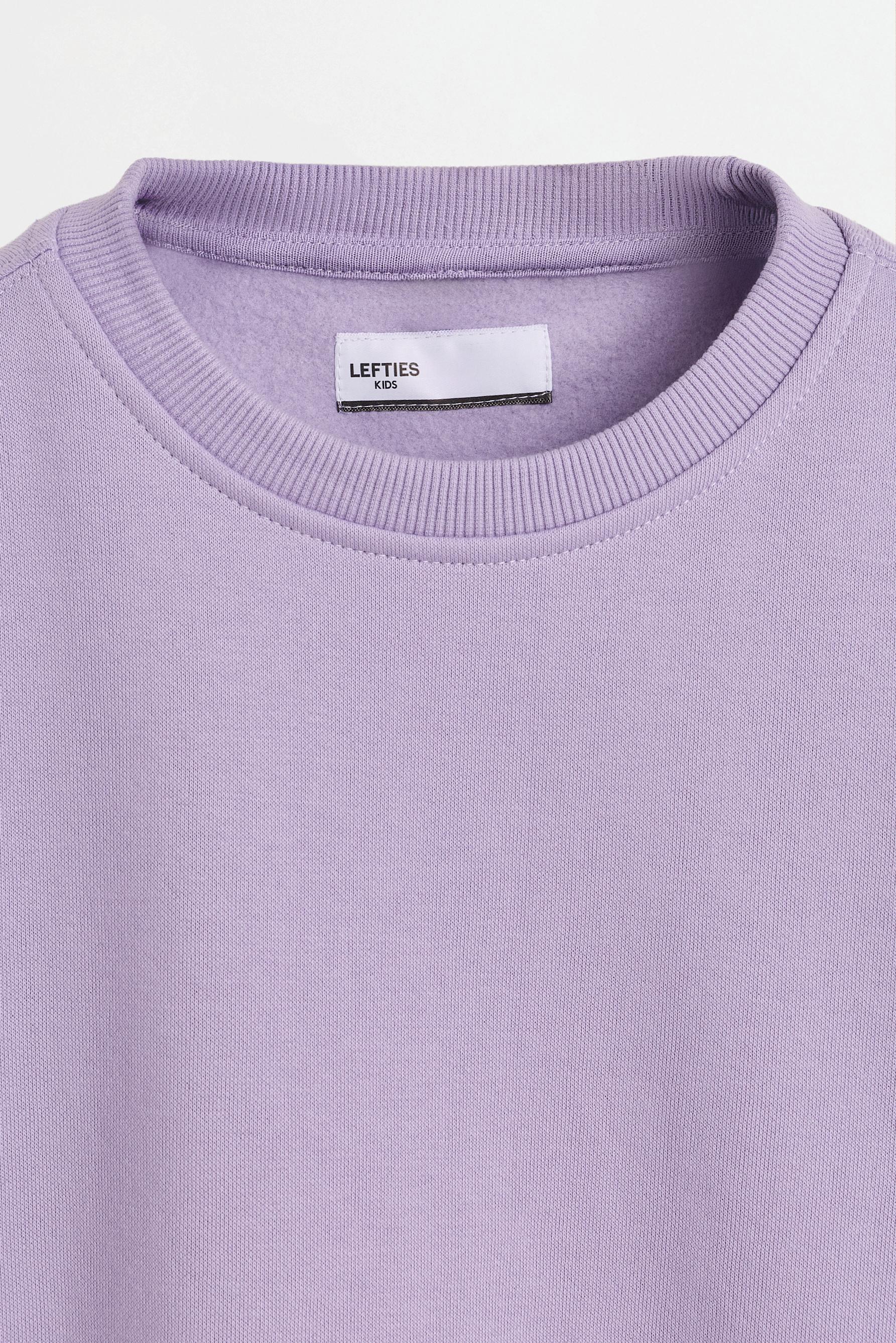Pack of 2 plush sweatshirts — PALE GREY