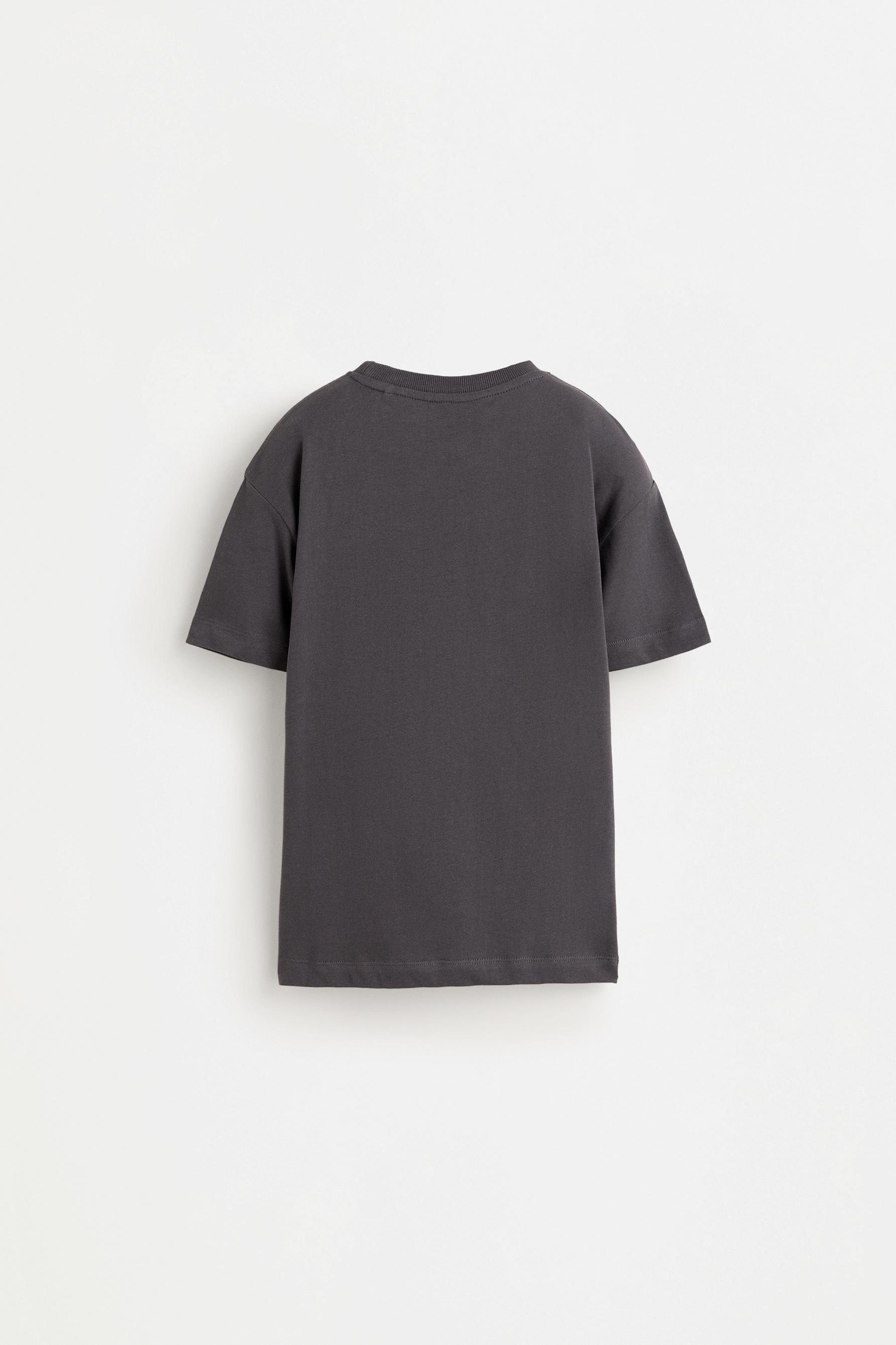 Printed T-shirt — ASH