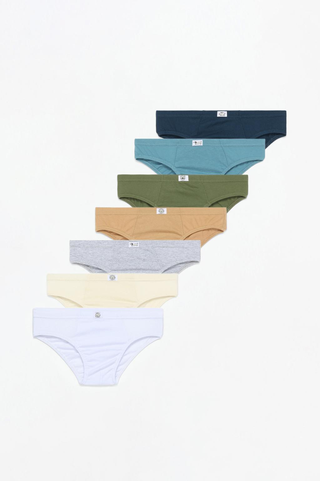 3-pack of plain briefs