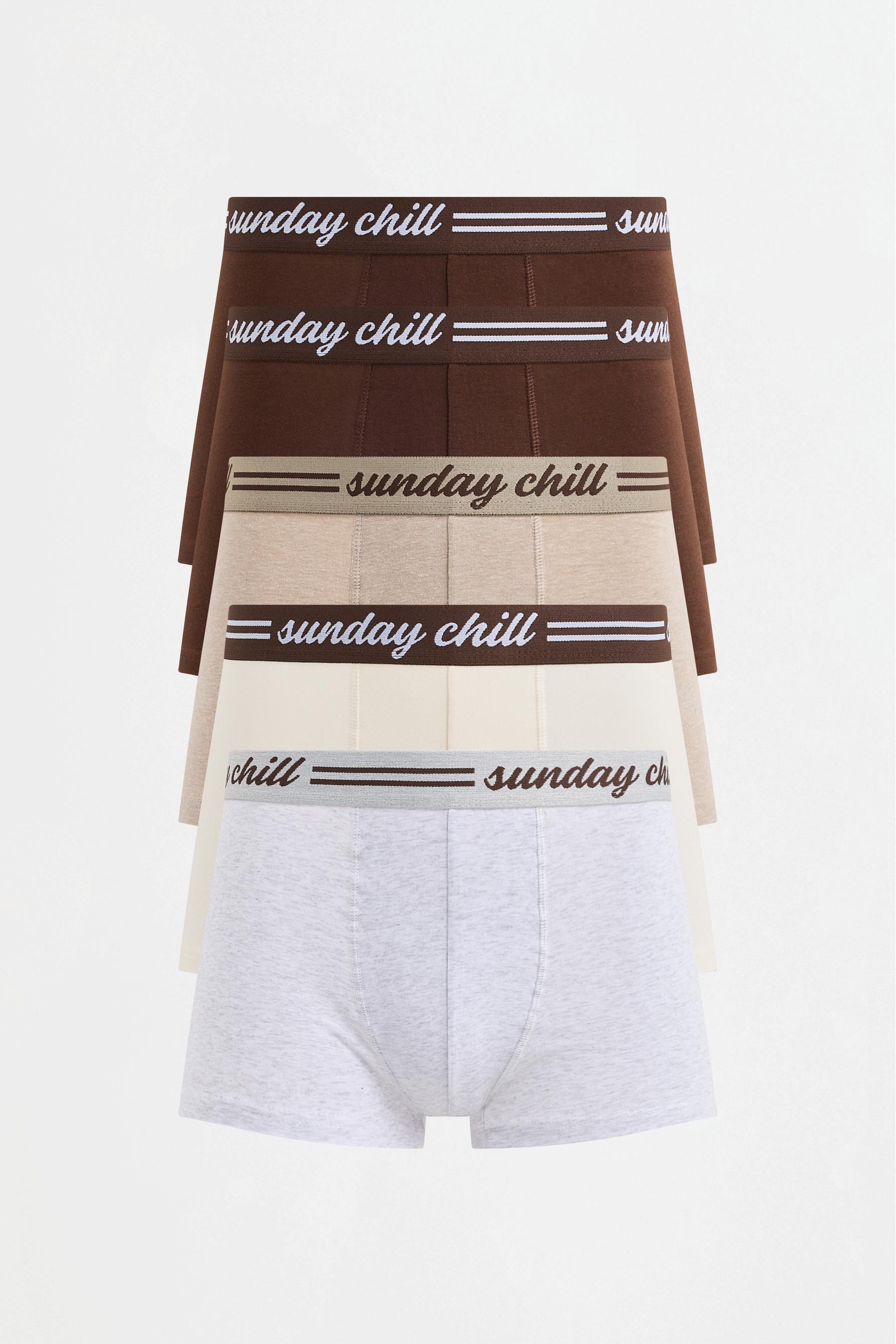 Slogan Waistband Boxer Briefs (5-Pack) — BROWN