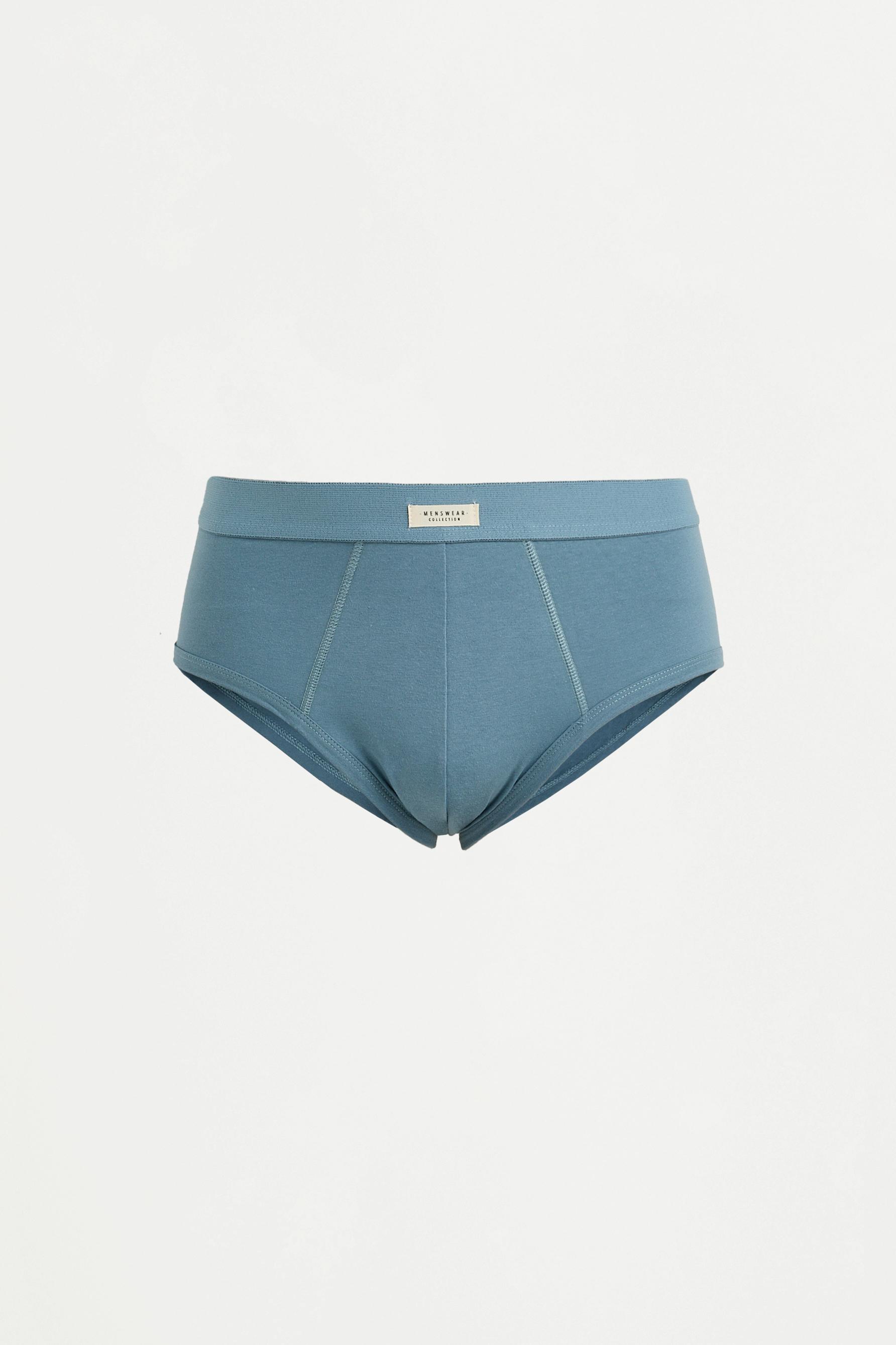 Pack of 5 basic briefs — BLUE