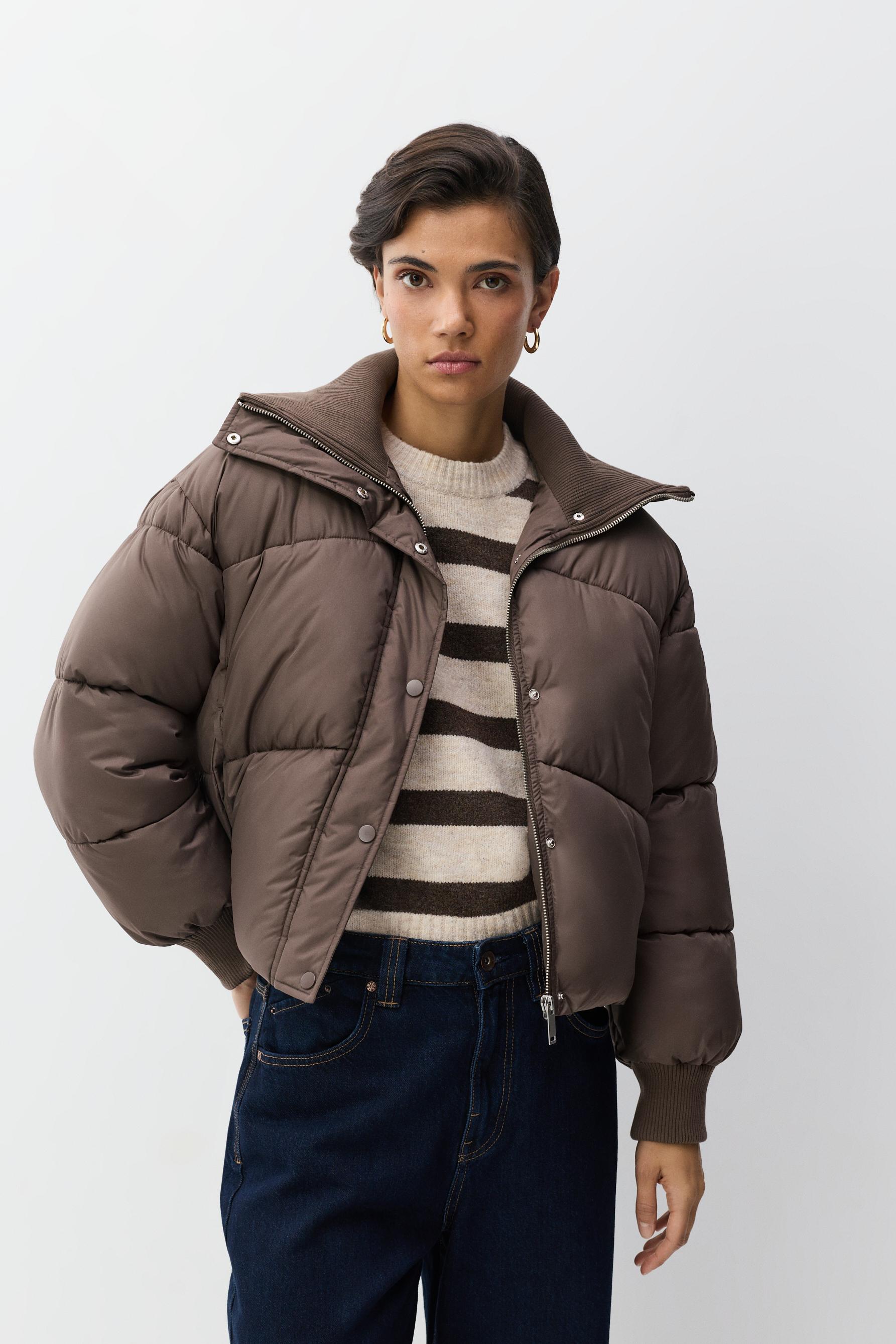 Cazadora cuello punto