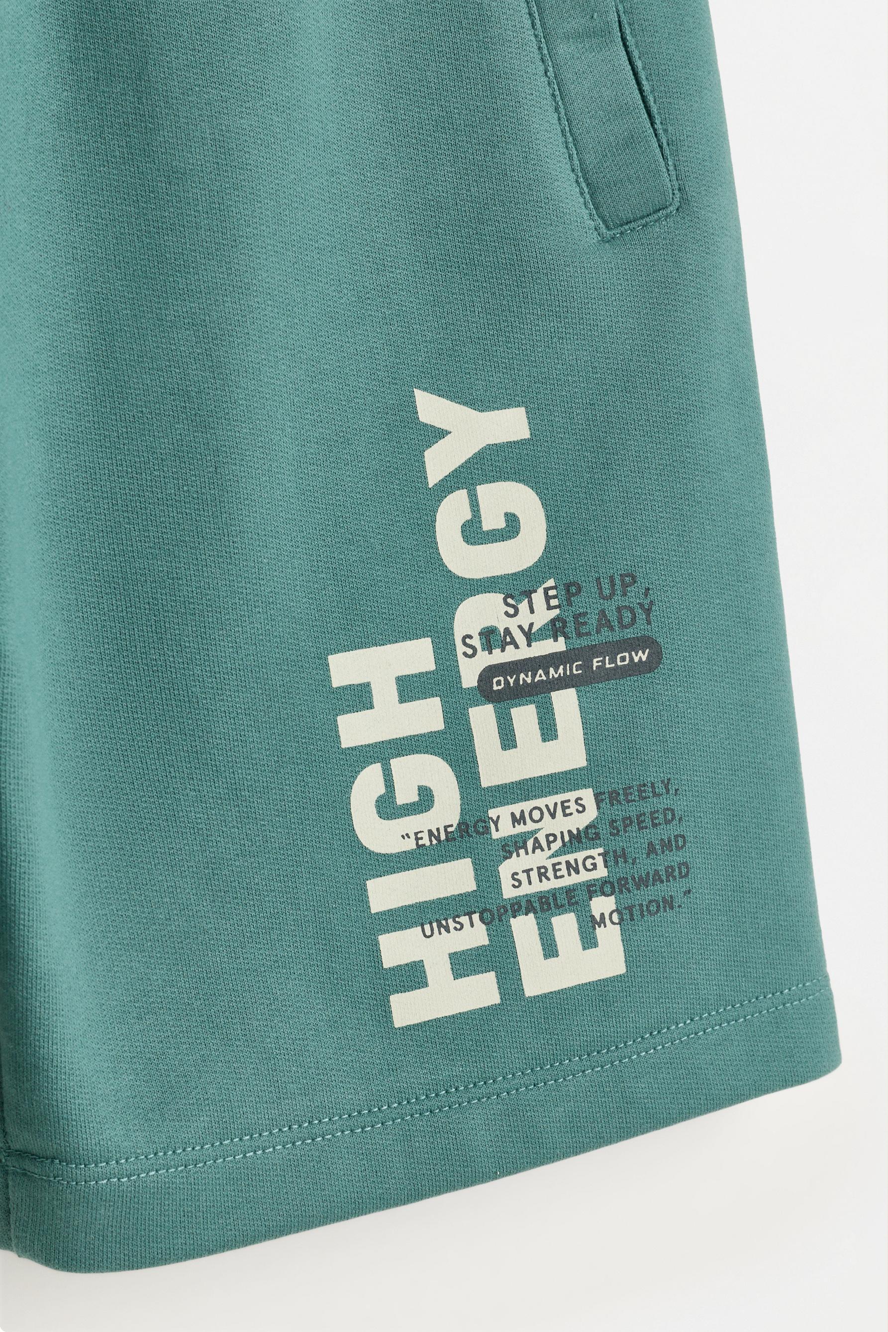 Text print plush Bermuda shorts — PALE MINT GREEN