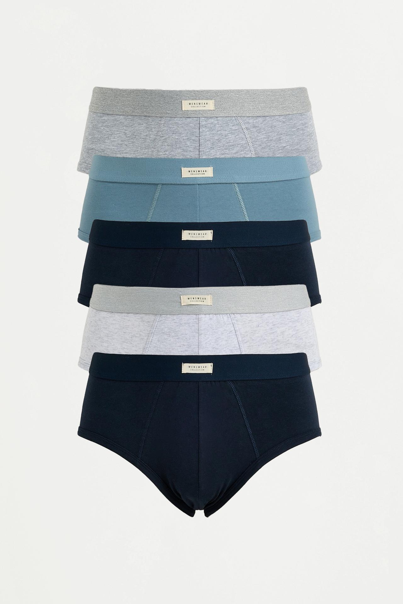 Pack of 5 basic briefs — BLUE