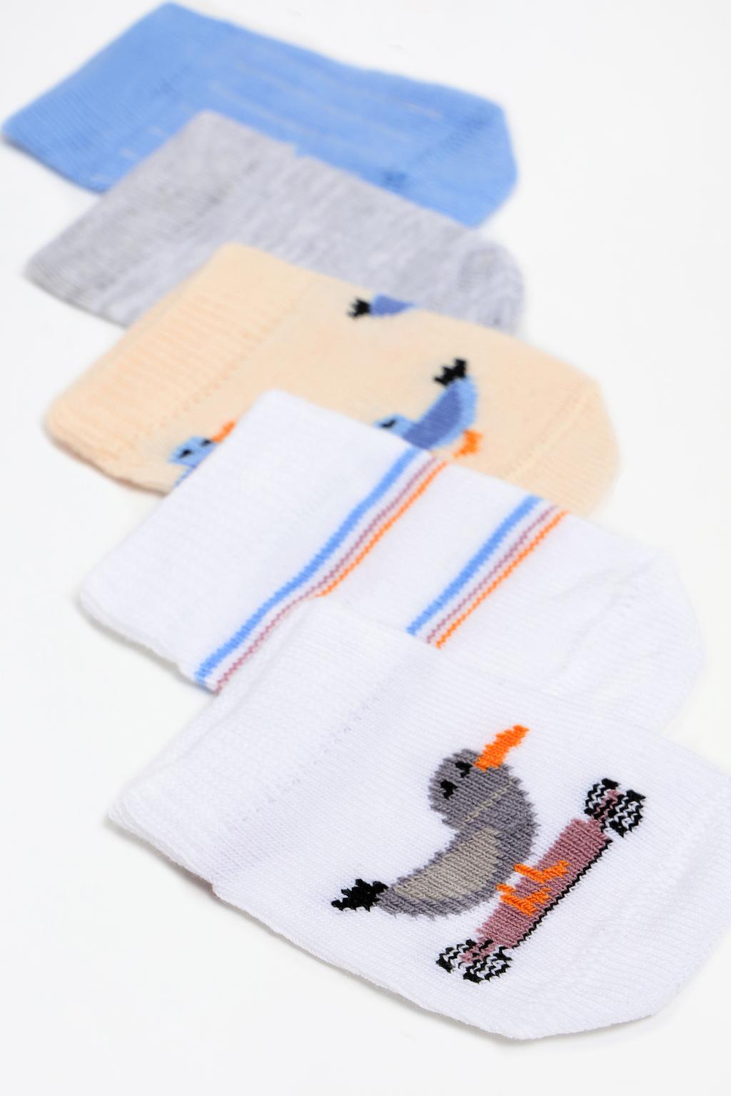 5-pack of bird ankle socks