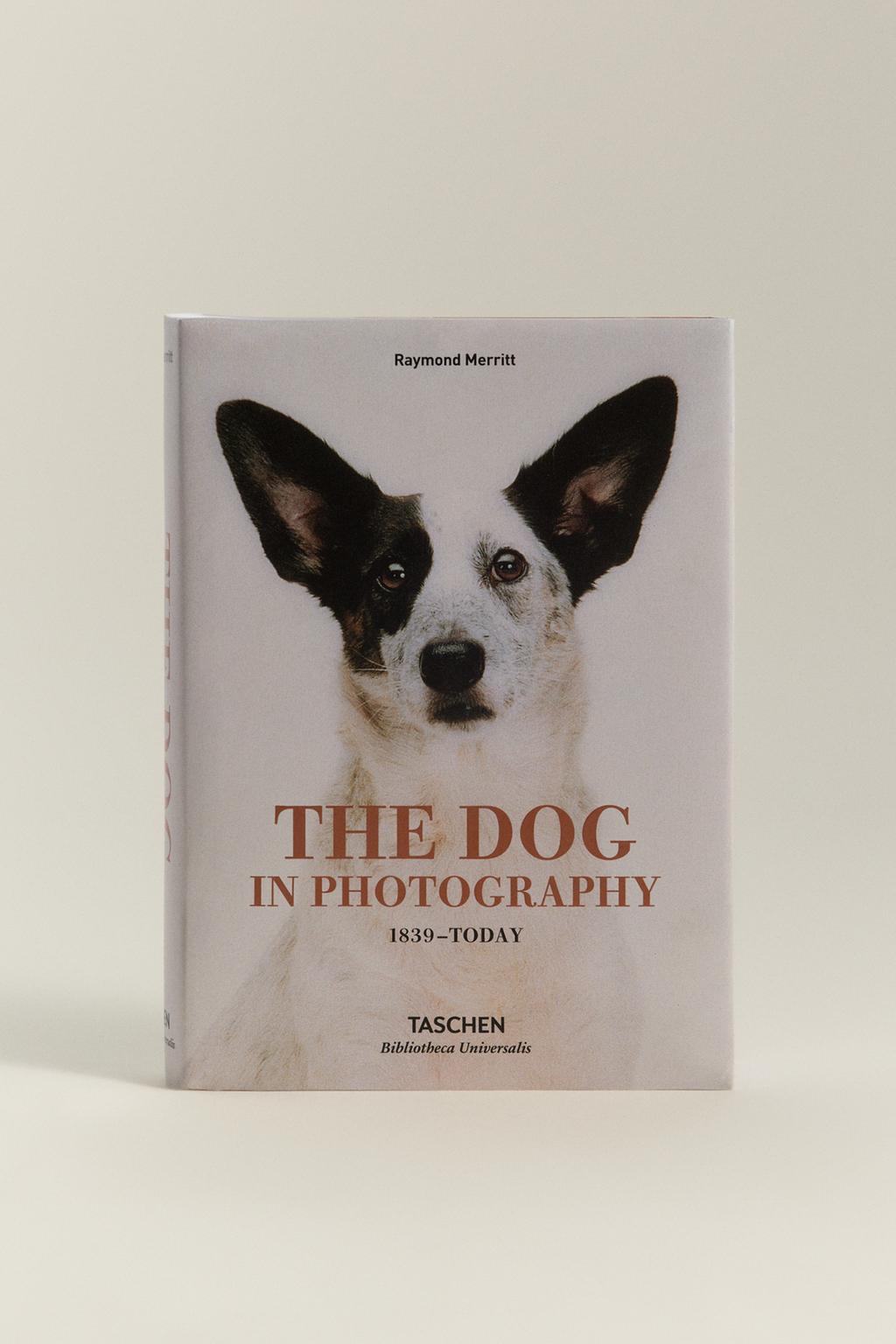 Livro The Dog in photografy - Taschen