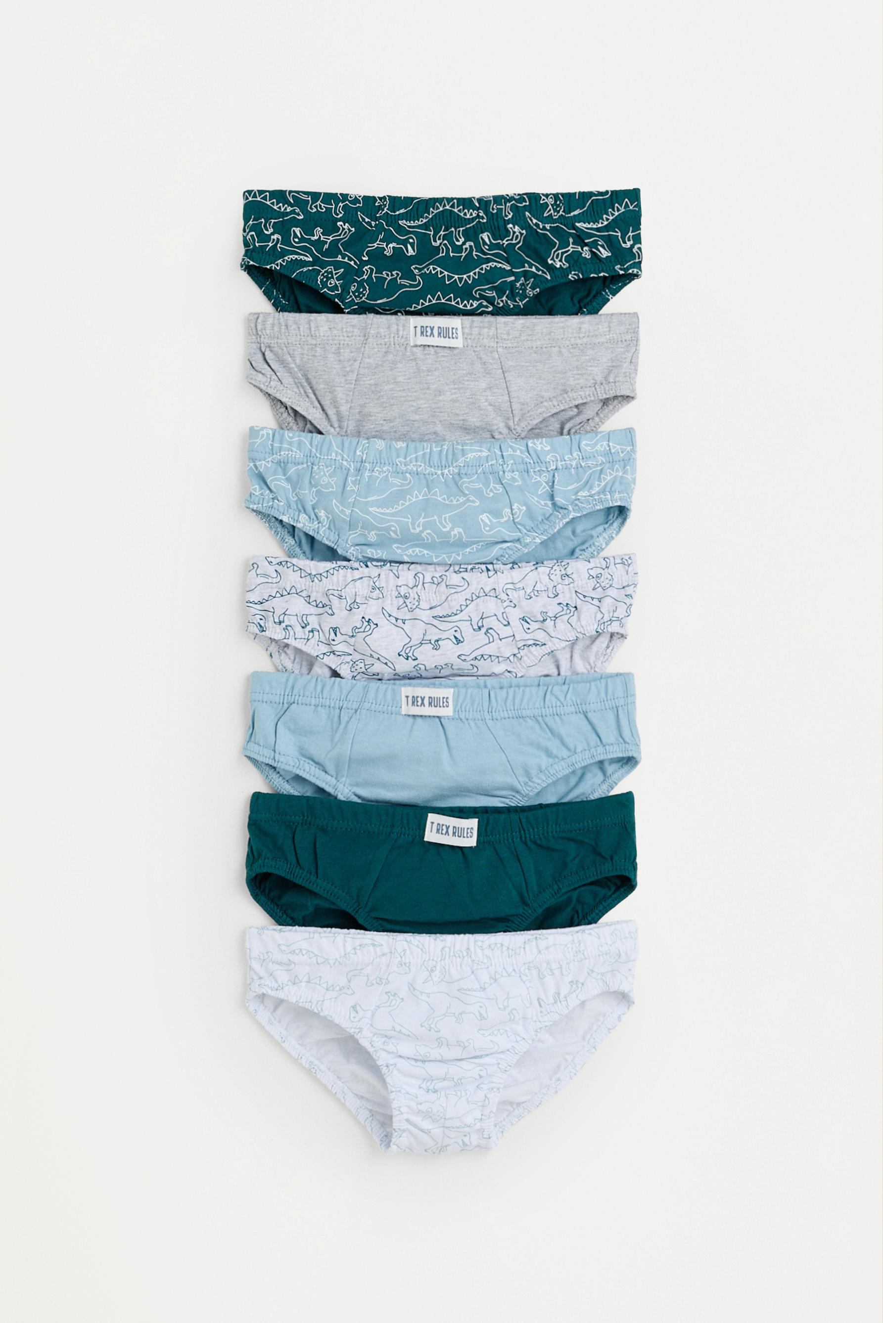 Dinosaur Print Briefs (7-Pack) — BLUE TONES