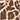 Leopard print mom fit denim shorts — SAND - KHAKI