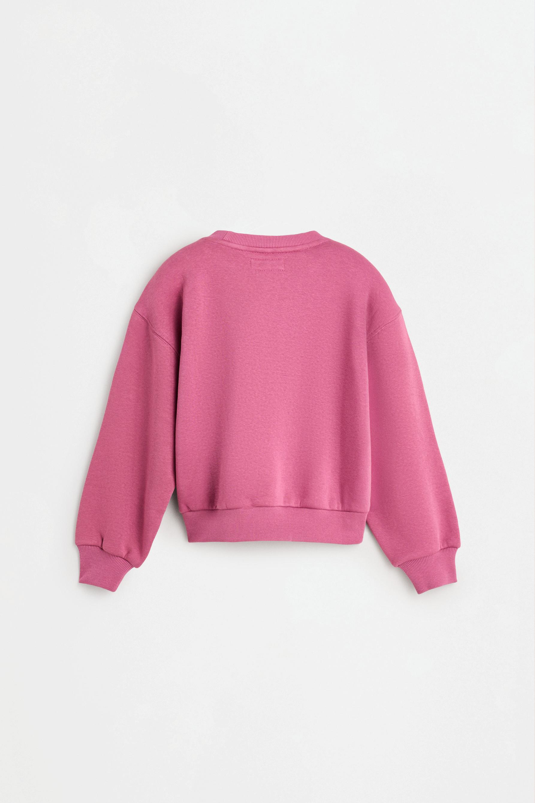 Printed sweatshirt — DARK PINK